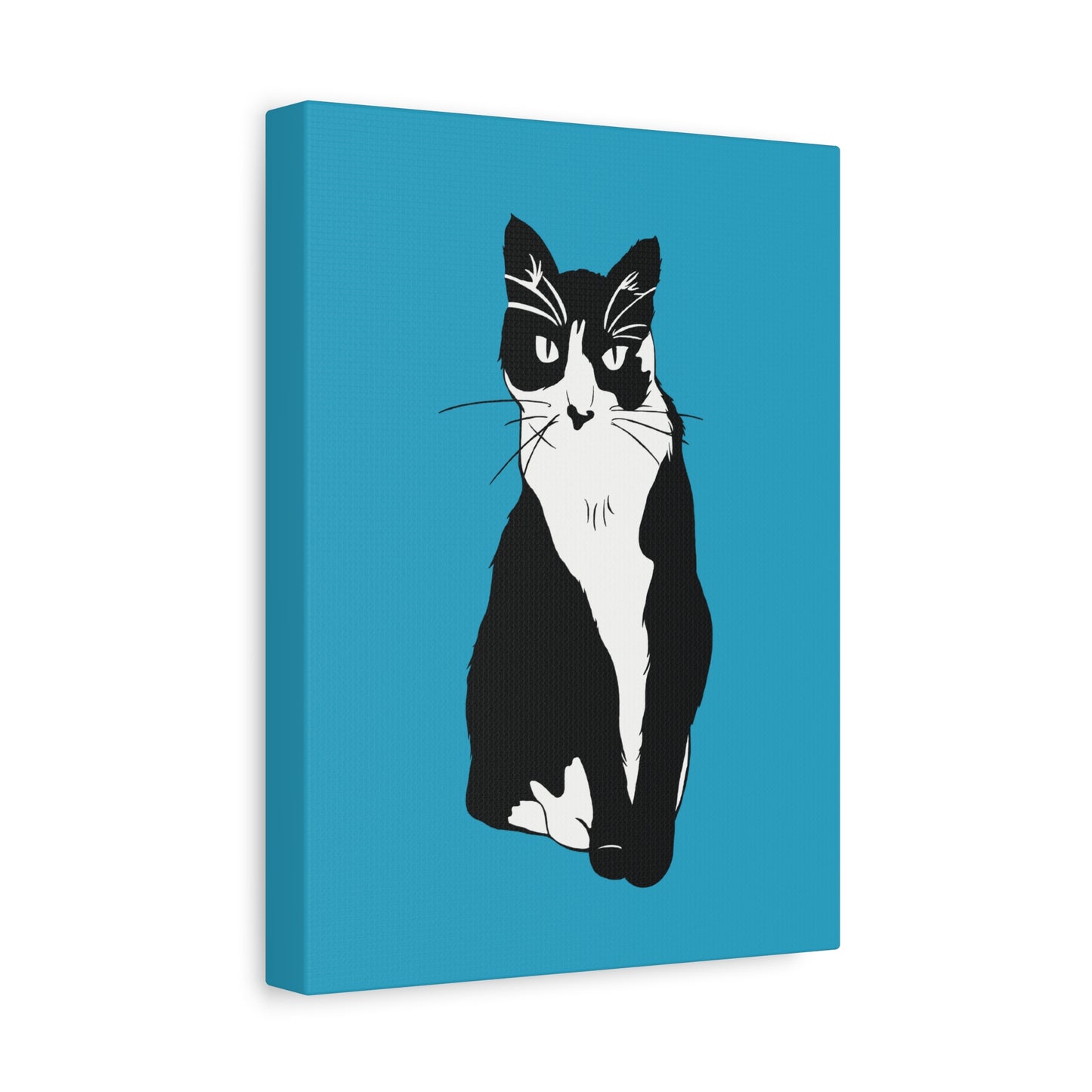 Cat Canvas on Turquoise (B&W Style Cat) - Cat Drawing Art