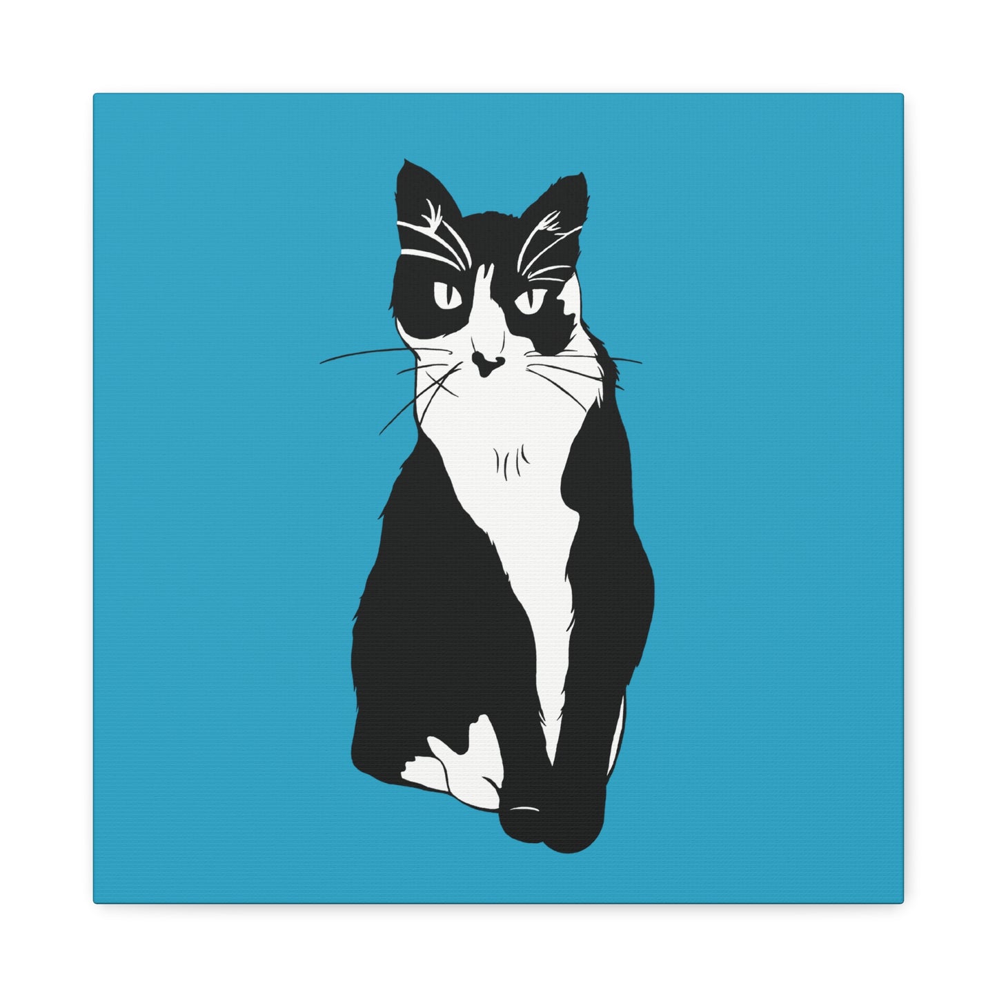 Cat Canvas on Turquoise (B&W Style Cat) - Cat Drawing Art