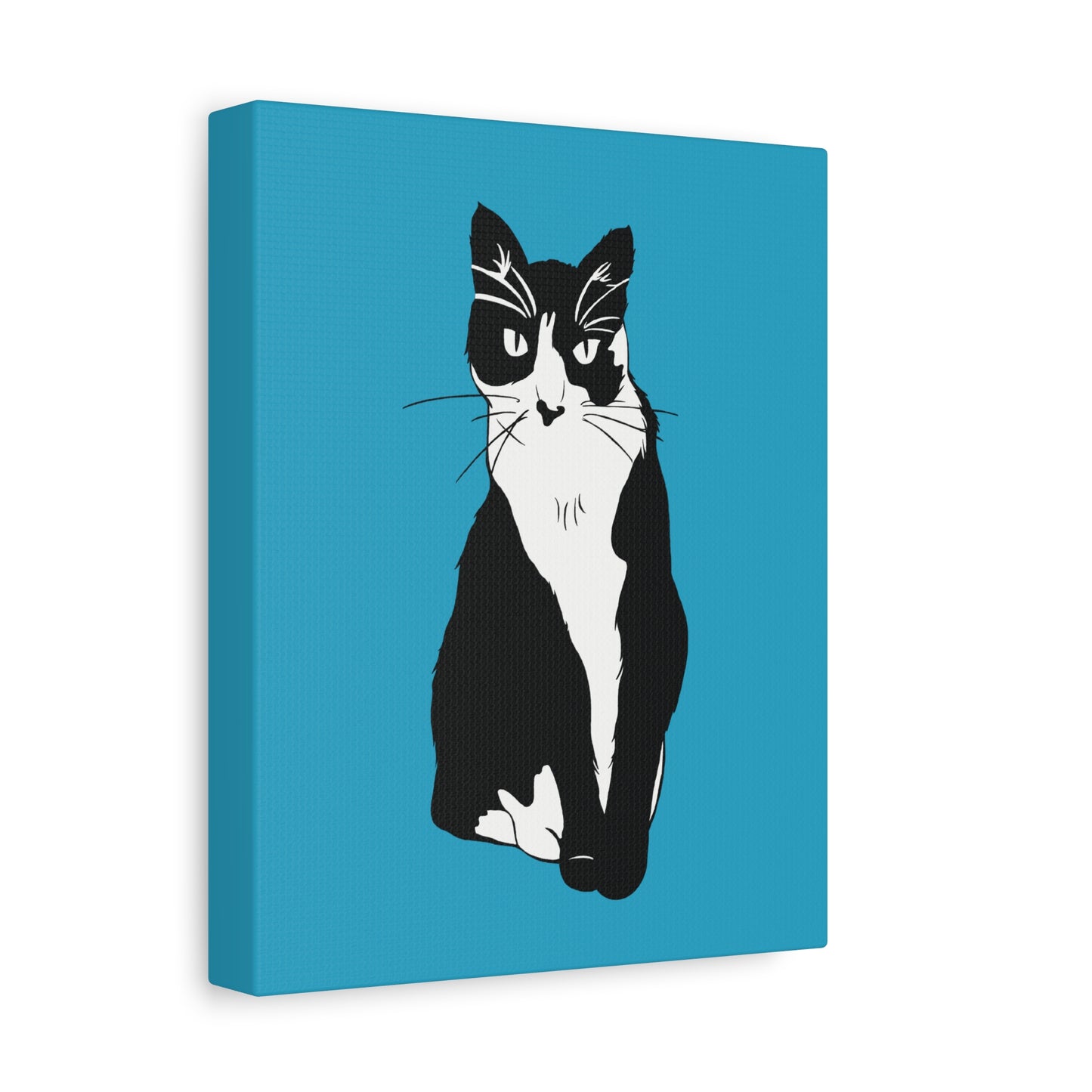 Cat Canvas on Turquoise (B&W Style Cat) - Cat Drawing Art