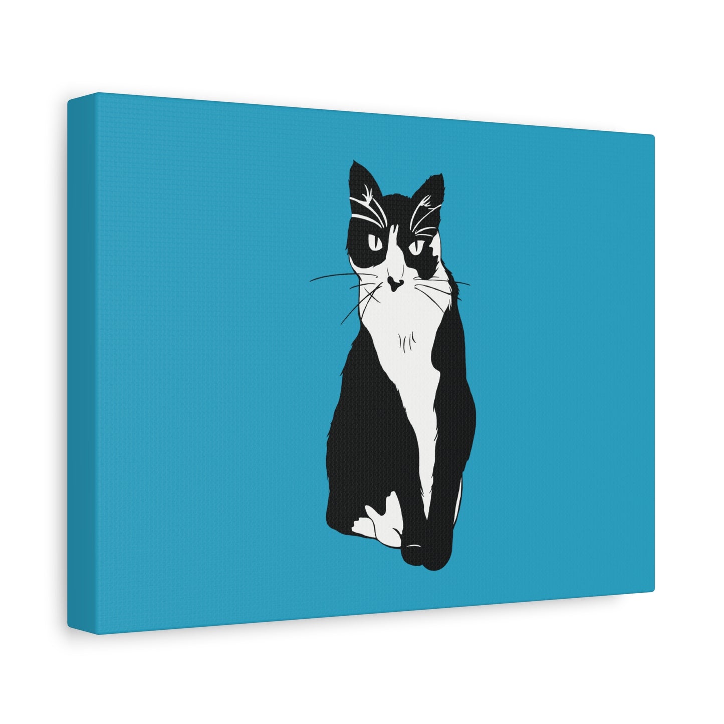 Cat Canvas on Turquoise (B&W Style Cat) - Cat Drawing Art
