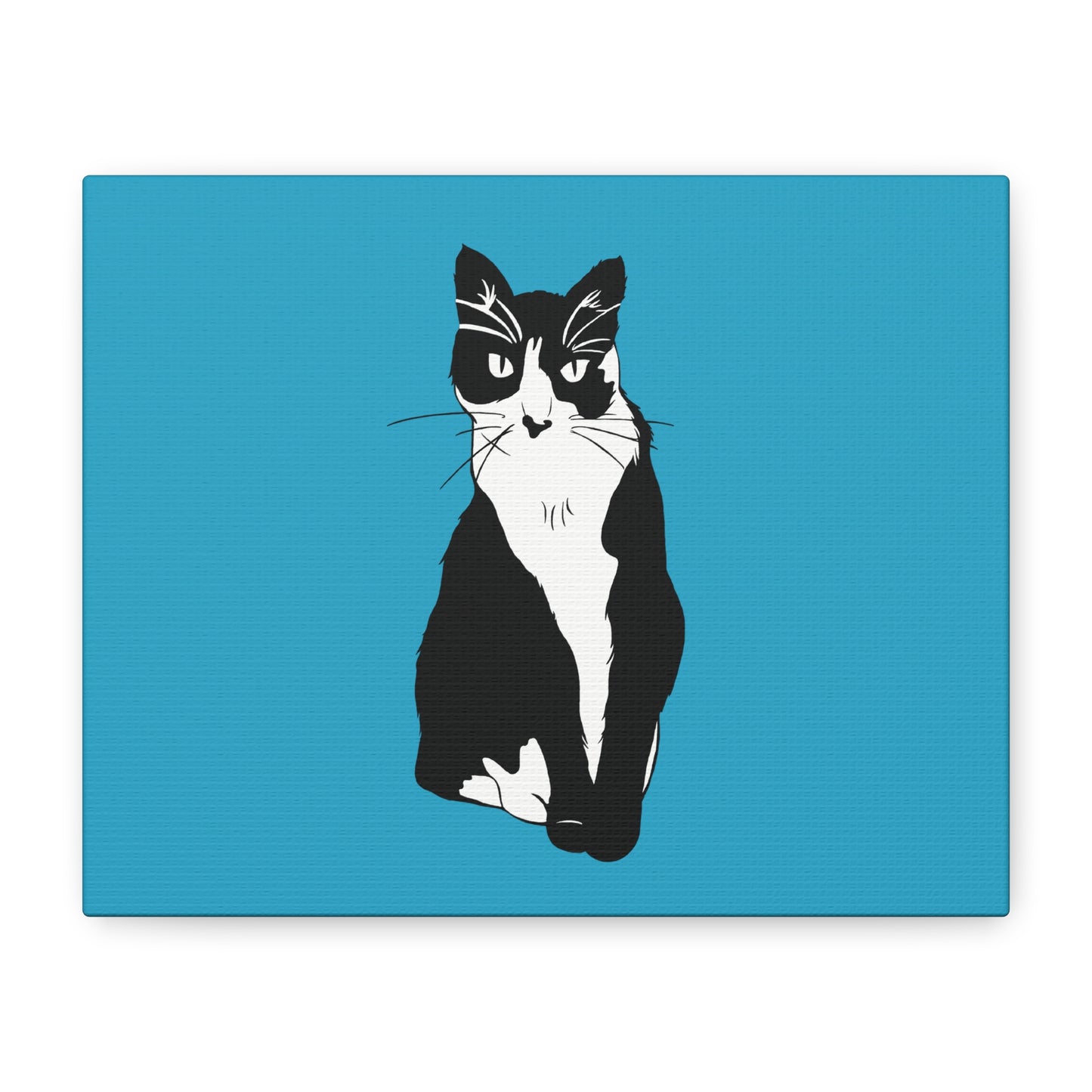 Cat Canvas on Turquoise (B&W Style Cat) - Cat Drawing Art
