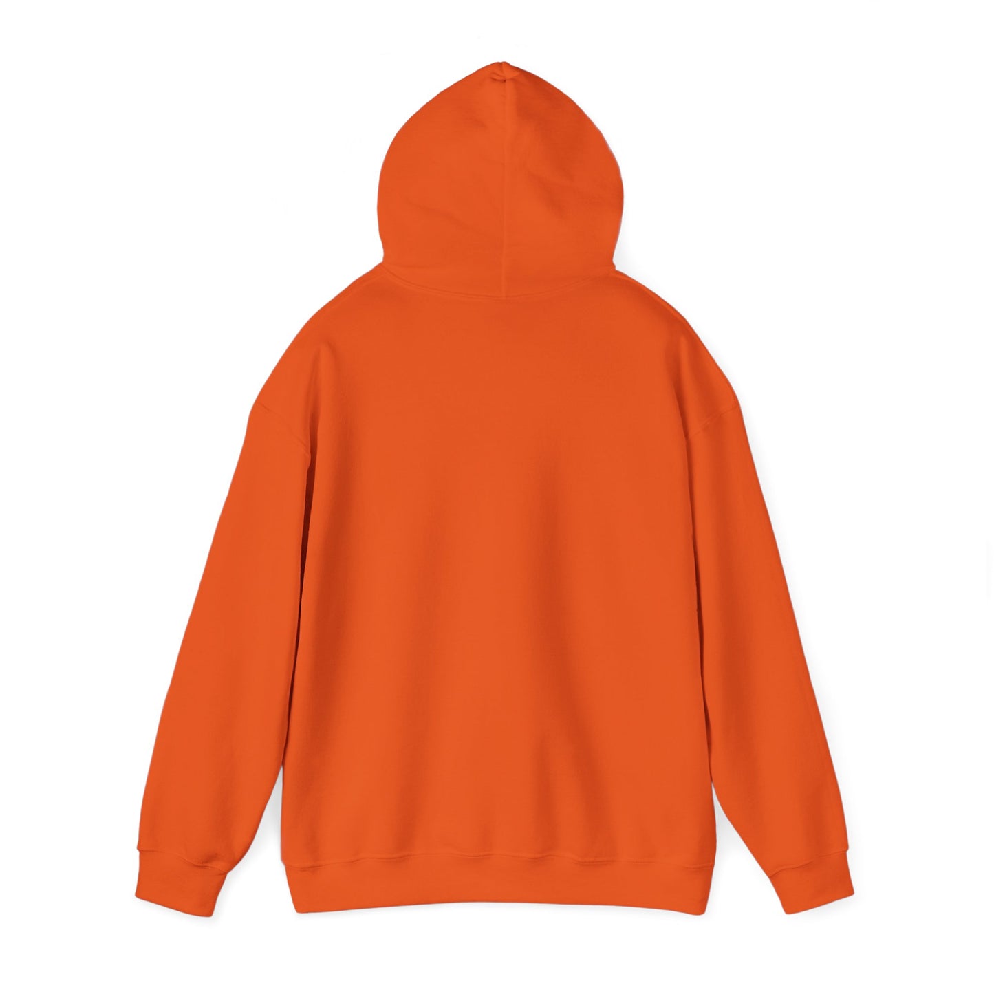 Cat x3 Hoodie (Transparent Style Cat) - Cat Hooded Sweatshirt
