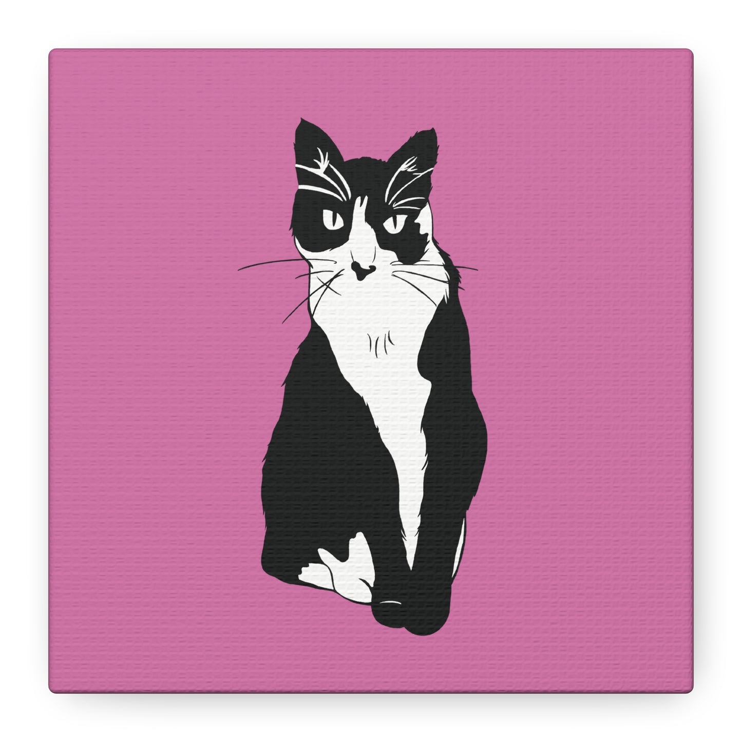 Cat Canvas on Light Pink (B&W Style Cat) - Cat Drawing Art
