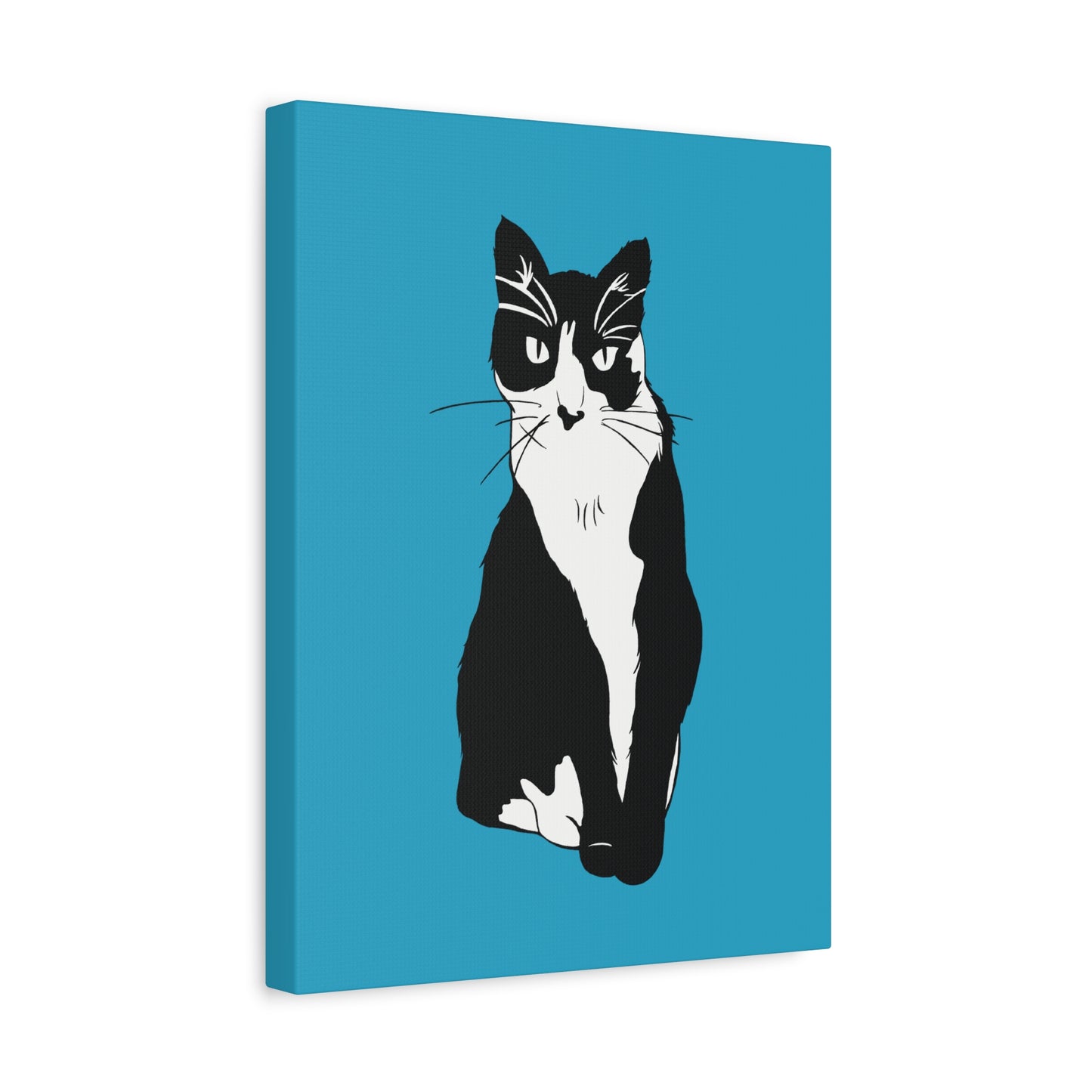 Cat Canvas on Turquoise (B&W Style Cat) - Cat Drawing Art