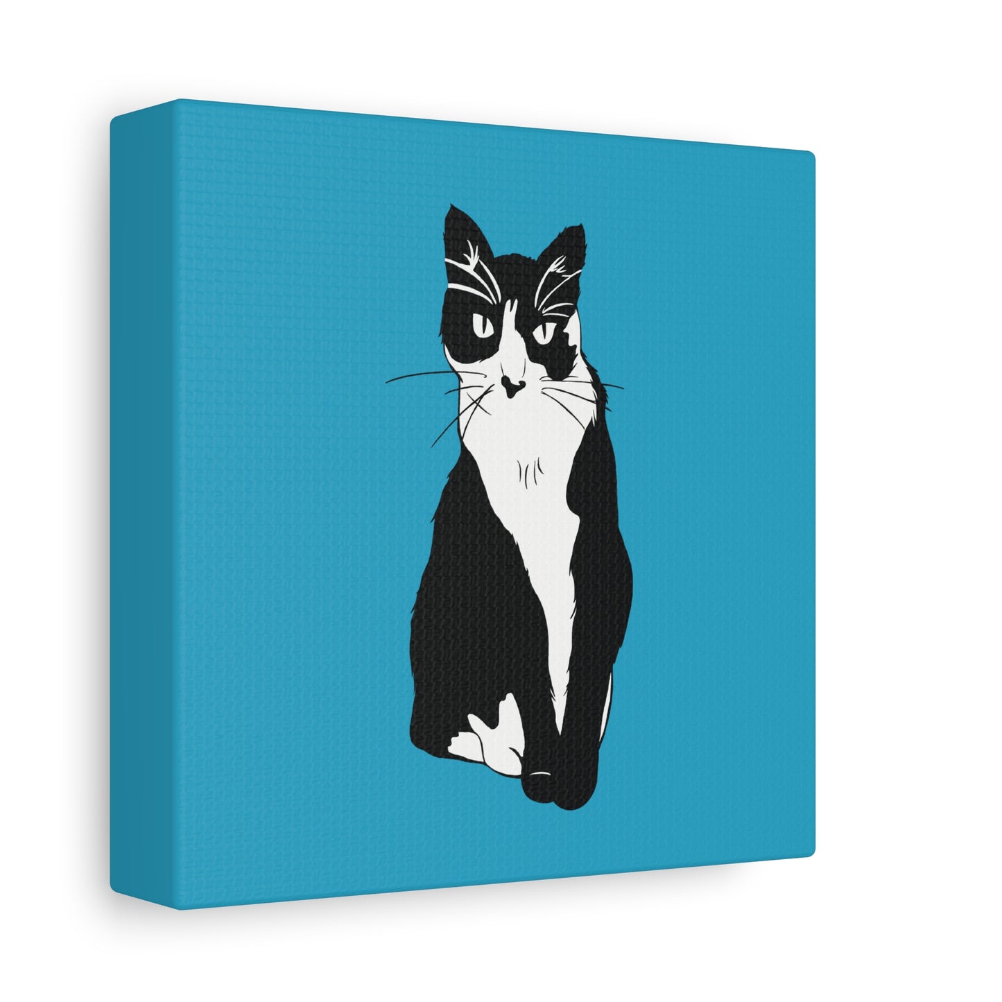 Cat Canvas on Turquoise (B&W Style Cat) - Cat Drawing Art