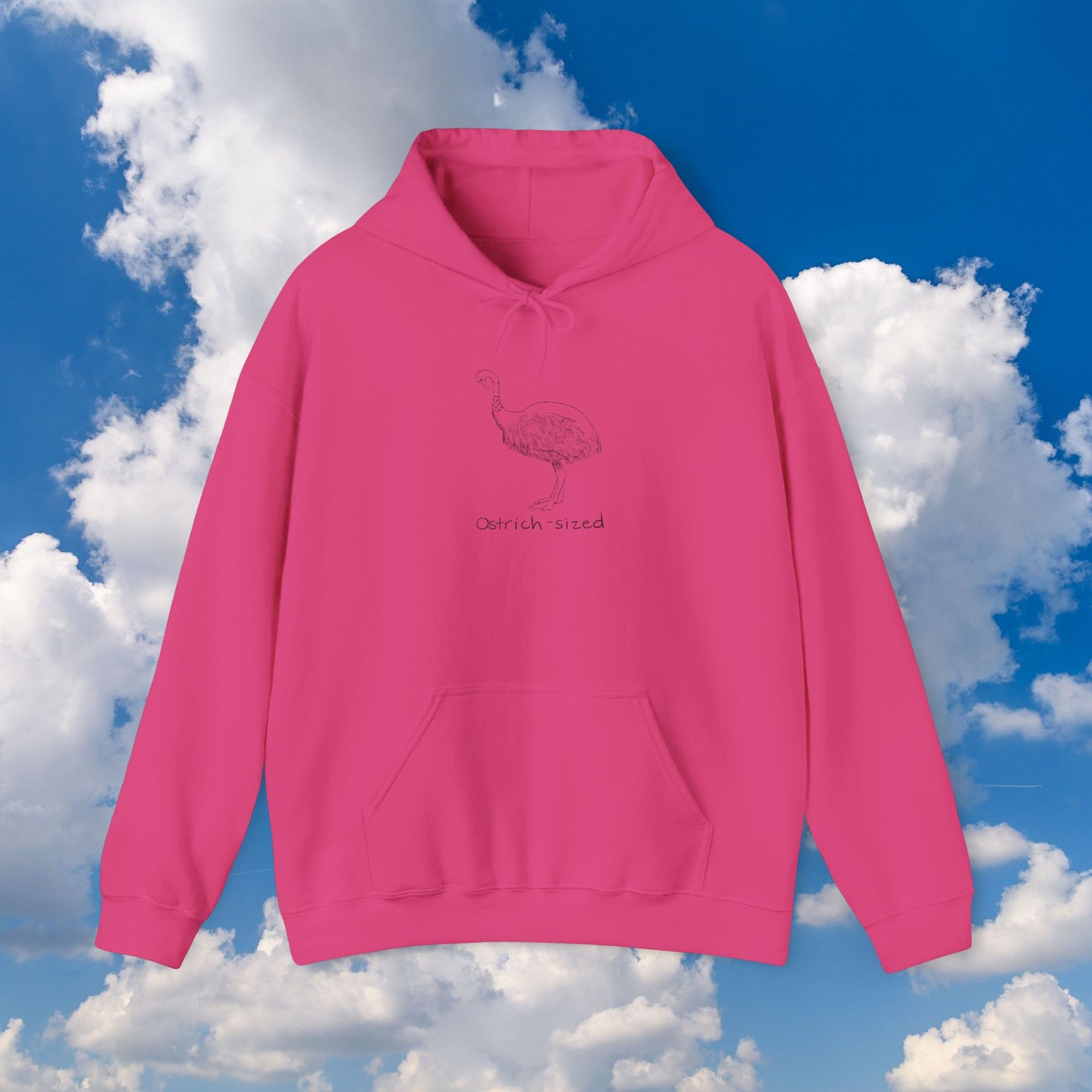Ostrich-sized Drawing Hoodie Sweatshirt