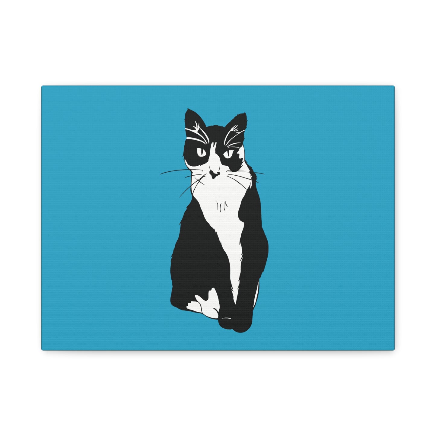 Cat Canvas on Turquoise (B&W Style Cat) - Cat Drawing Art