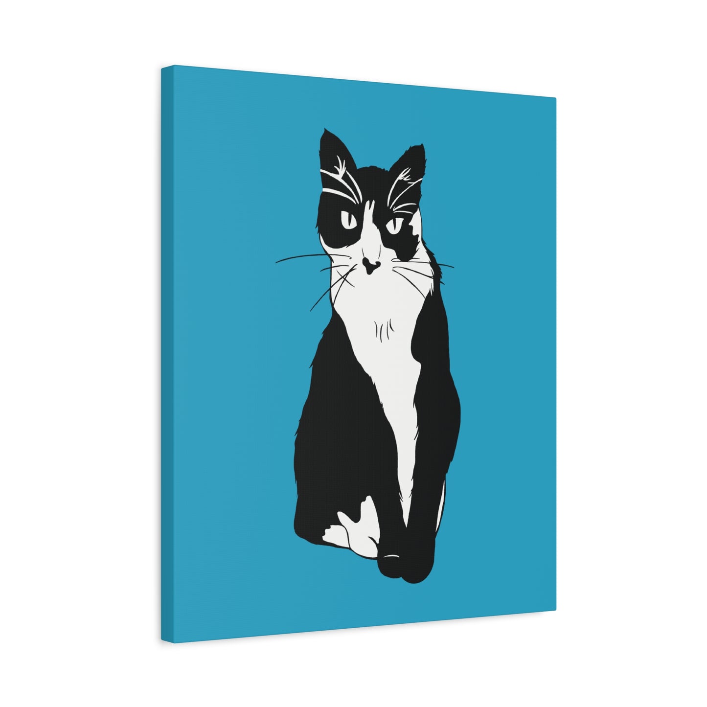 Cat Canvas on Turquoise (B&W Style Cat) - Cat Drawing Art