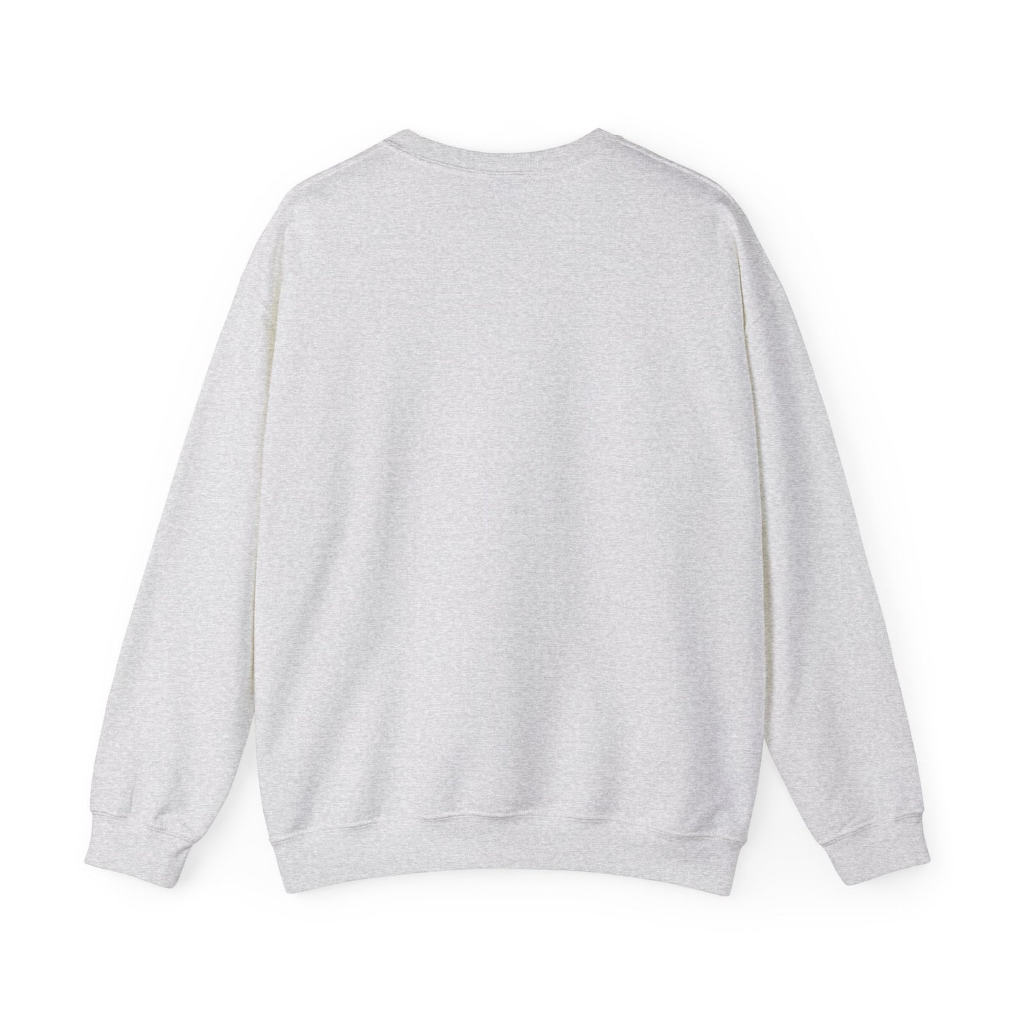 I Won't Stand For It Seagull Sweatshirt