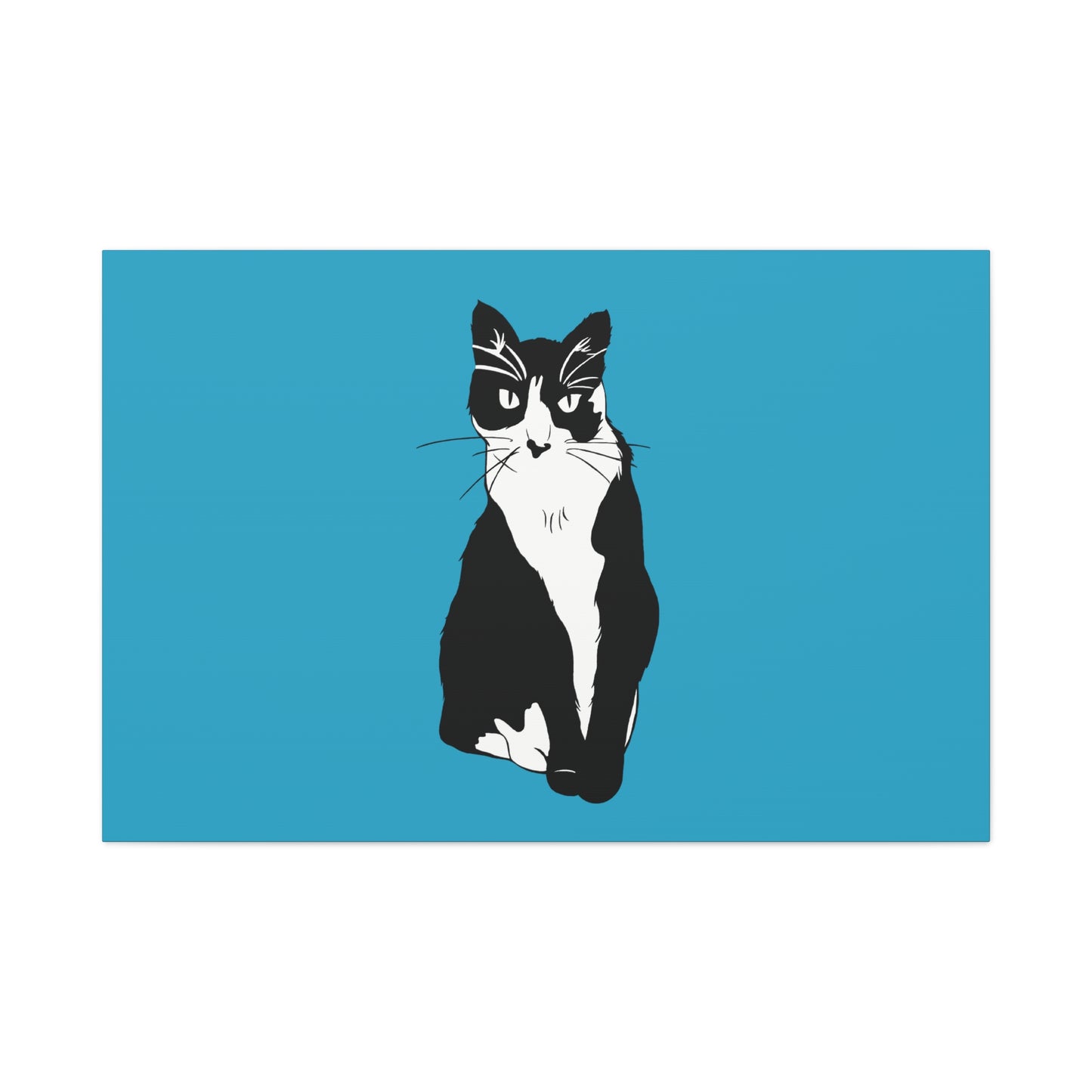 Cat Canvas on Turquoise (B&W Style Cat) - Cat Drawing Art