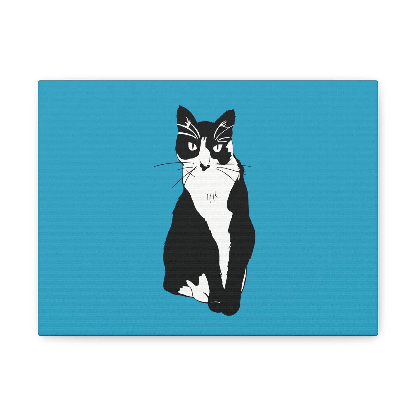 Cat Canvas on Turquoise (B&W Style Cat) - Cat Drawing Art