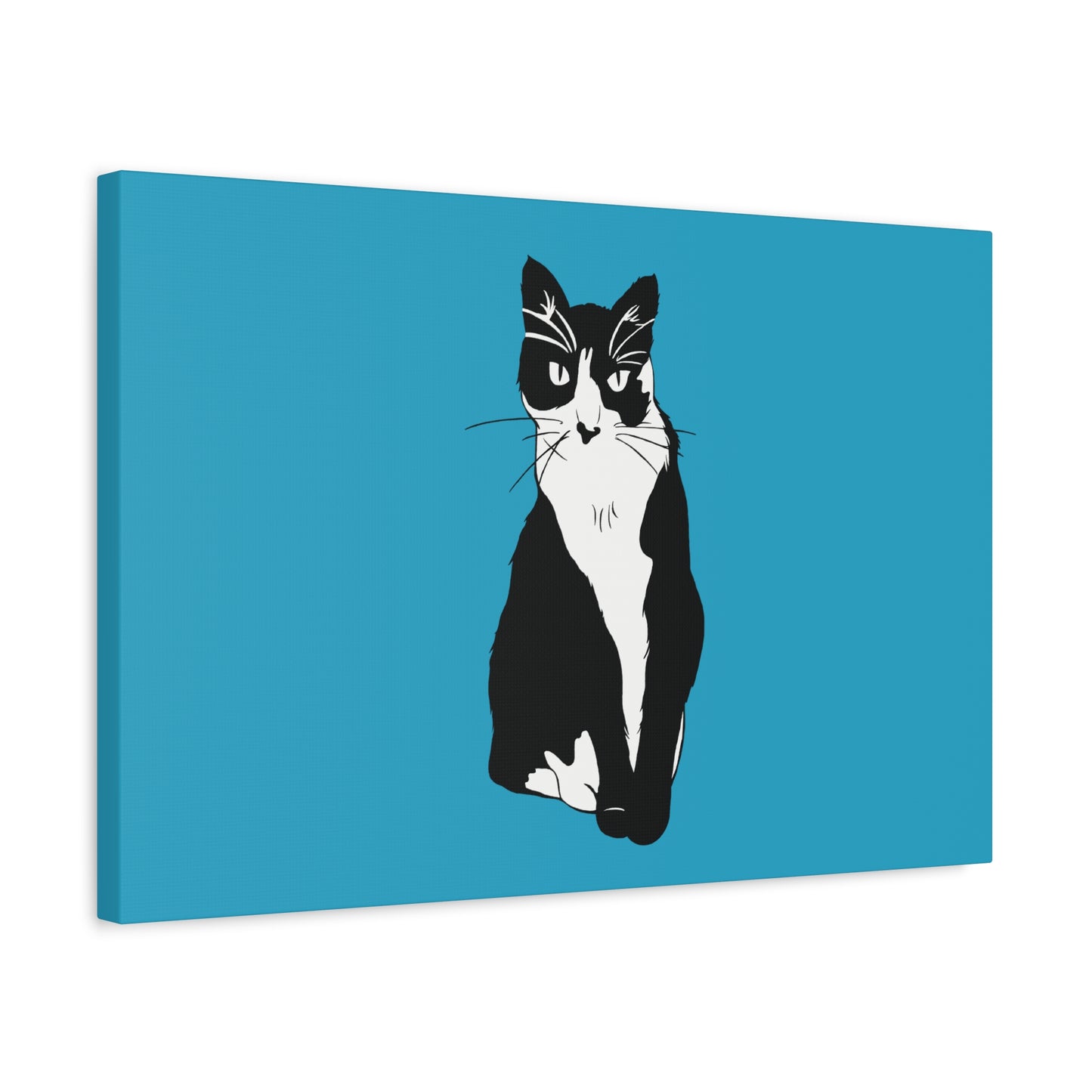 Cat Canvas on Turquoise (B&W Style Cat) - Cat Drawing Art