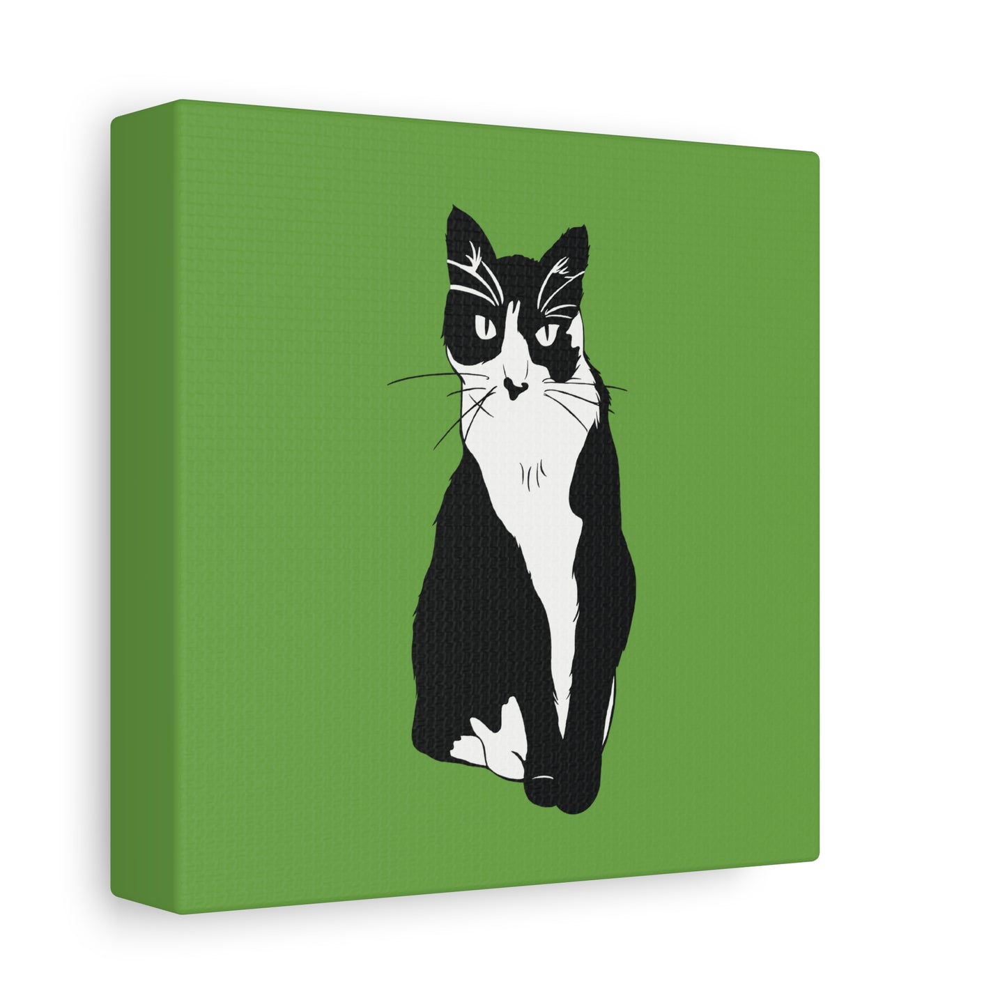 Cat Canvas on Green (B&W Style Cat) - Cat Drawing Art