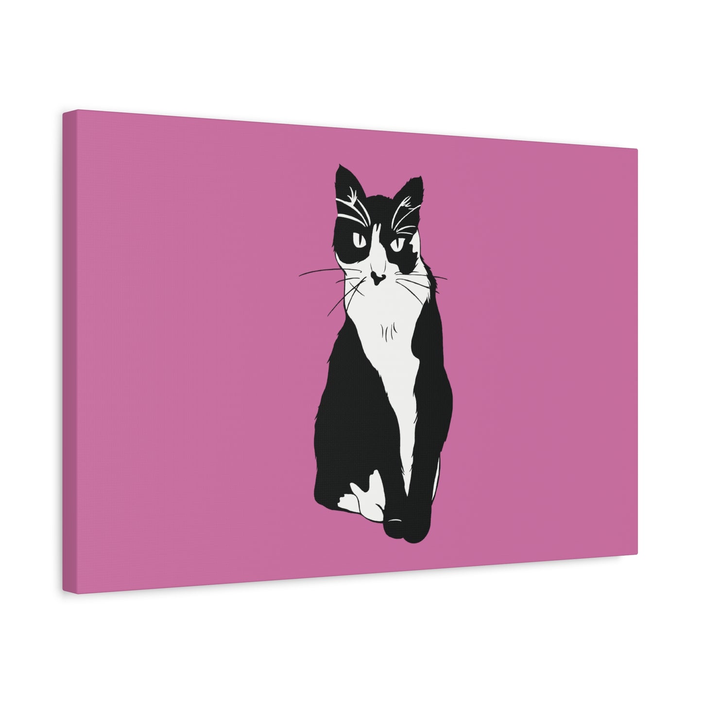 Cat Canvas on Light Pink (B&W Style Cat) - Cat Drawing Art