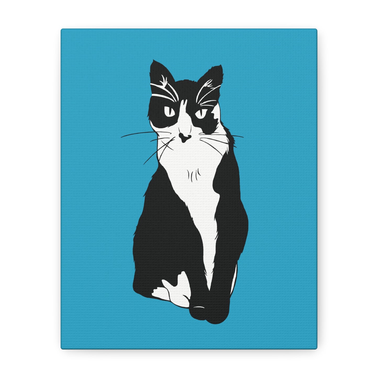 Cat Canvas on Turquoise (B&W Style Cat) - Cat Drawing Art