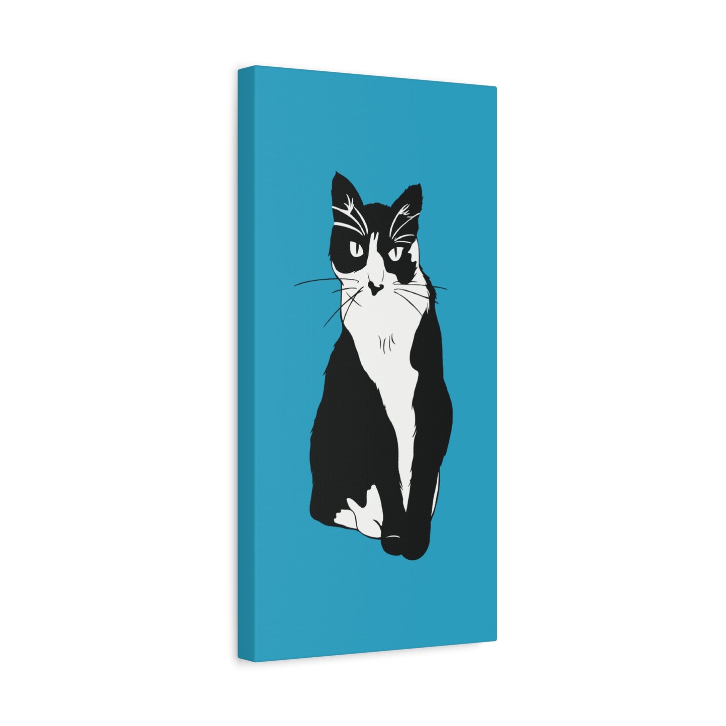 Cat Canvas on Turquoise (B&W Style Cat) - Cat Drawing Art