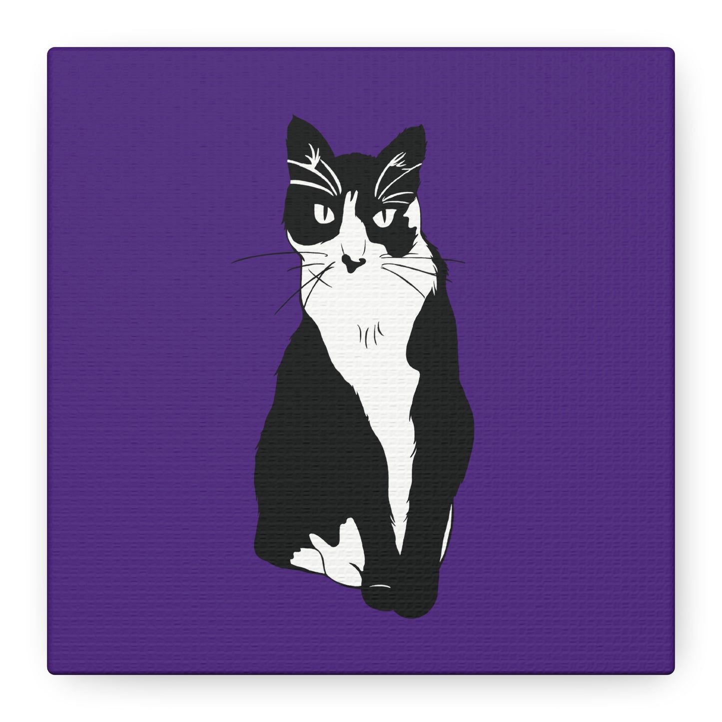 Cat Canvas on Purple (B&W Style Cat) - Cat Drawing Art