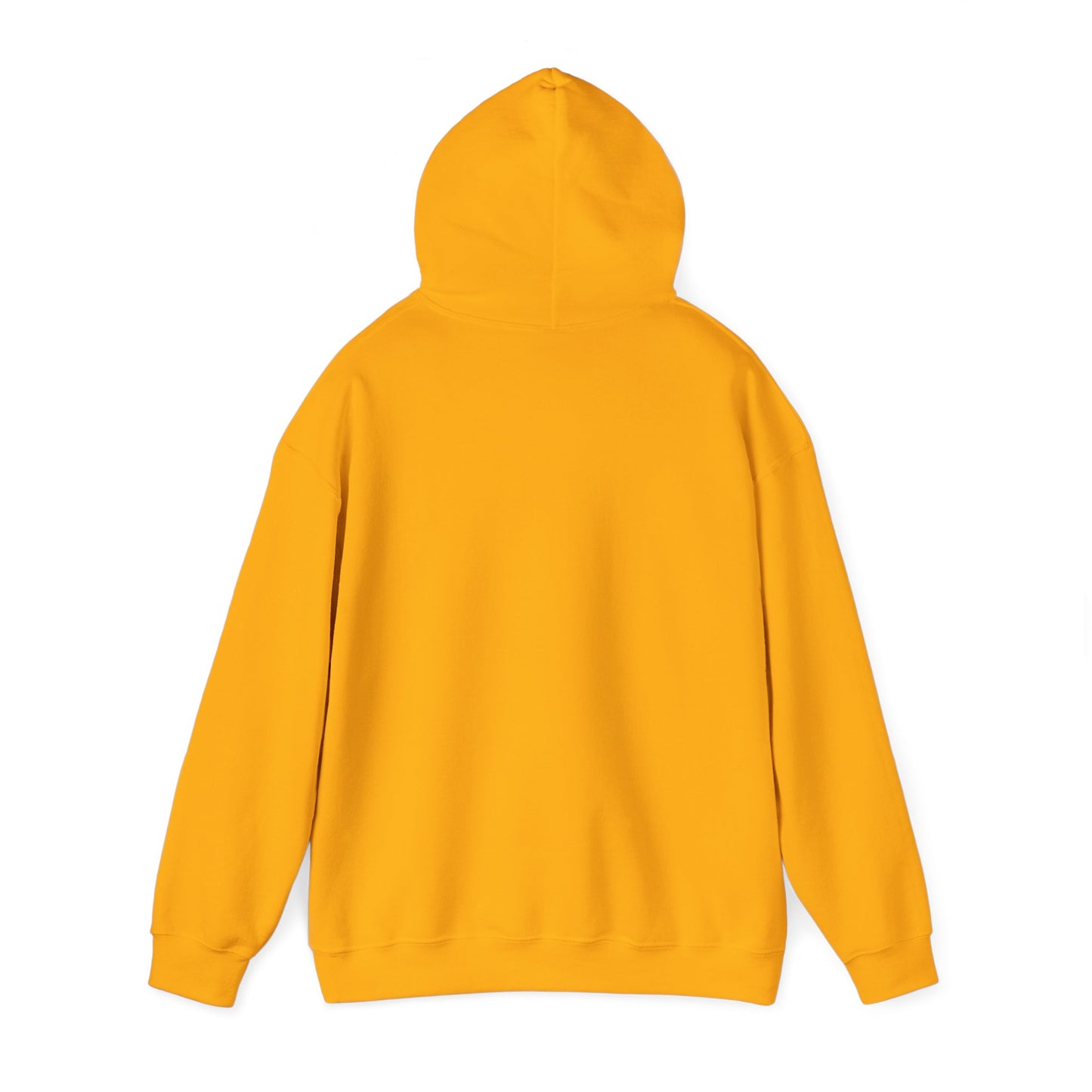Cat x3 Hoodie (Transparent Style Cat) - Cat Hooded Sweatshirt