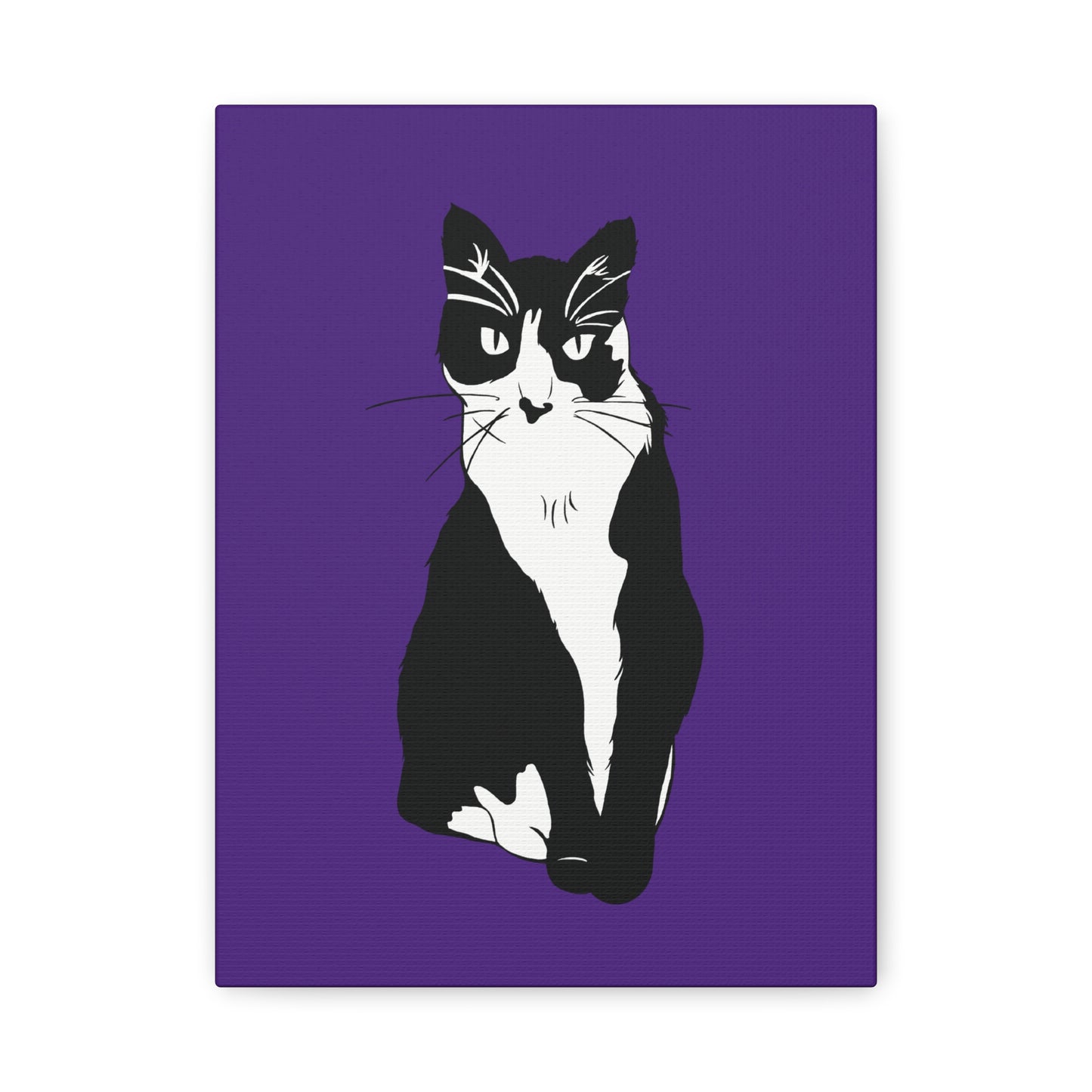 Cat Canvas on Purple (B&W Style Cat) - Cat Drawing Art