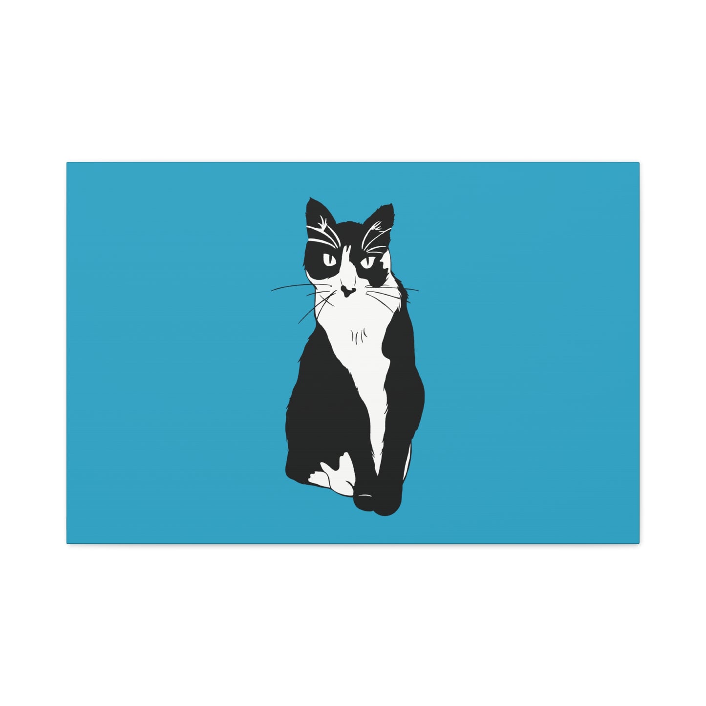 Cat Canvas on Turquoise (B&W Style Cat) - Cat Drawing Art
