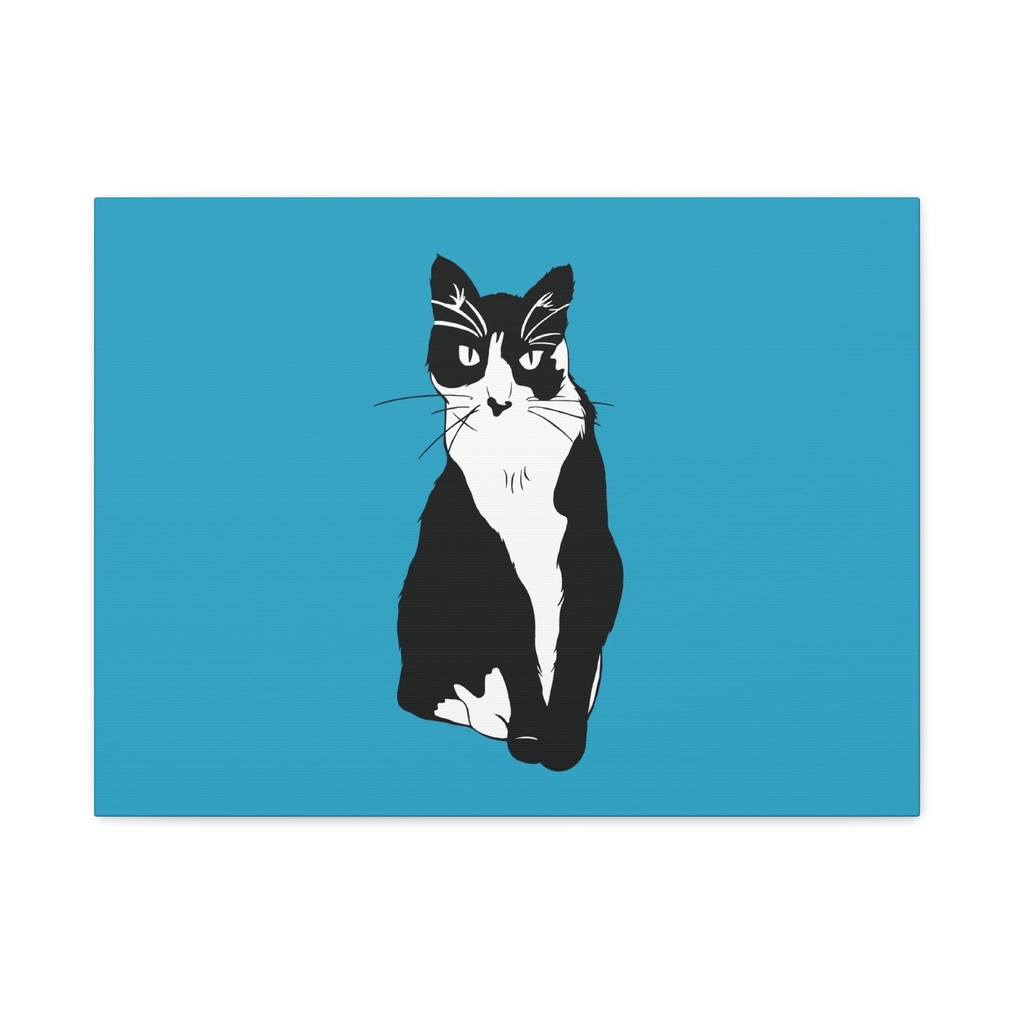 Cat Canvas on Turquoise (B&W Style Cat) - Cat Drawing Art