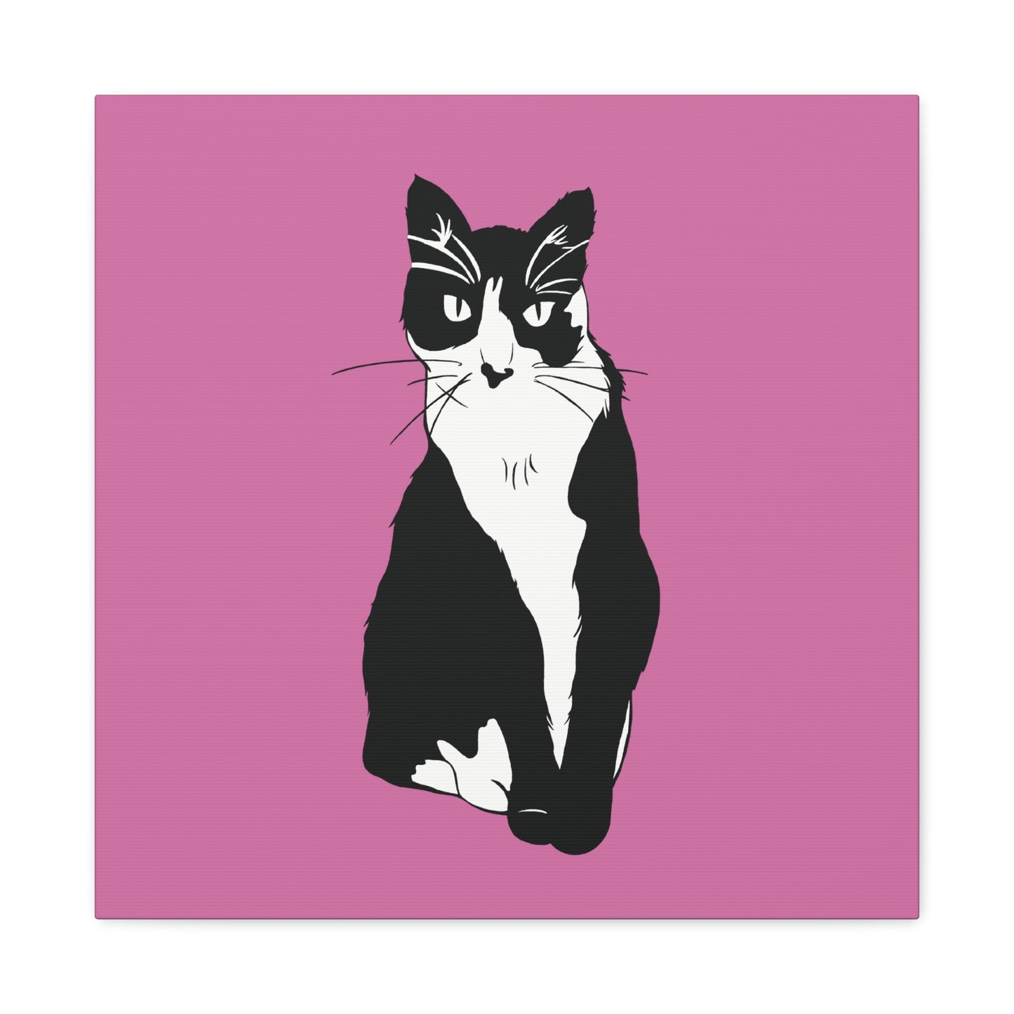 Cat Canvas on Light Pink (B&W Style Cat) - Cat Drawing Art