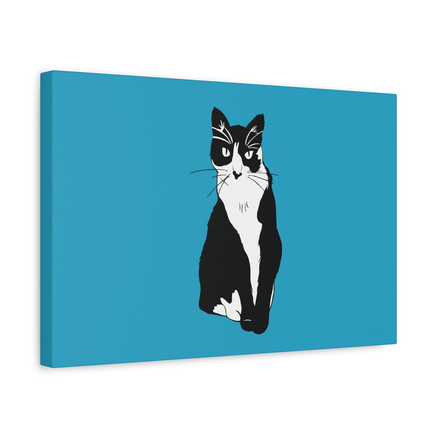 Cat Canvas on Turquoise (B&W Style Cat) - Cat Drawing Art