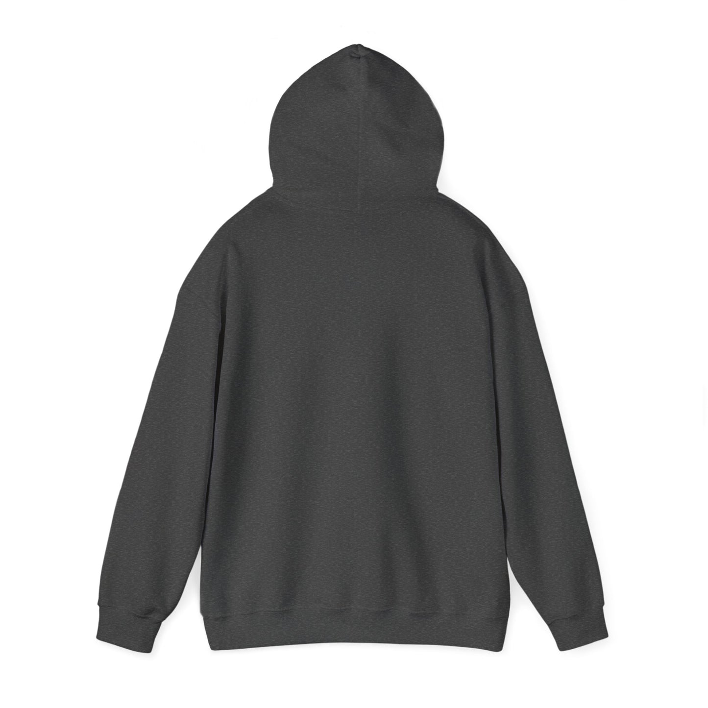 Cat Hoodie (B&W Style Cat) - Cat Hooded Sweatshirt