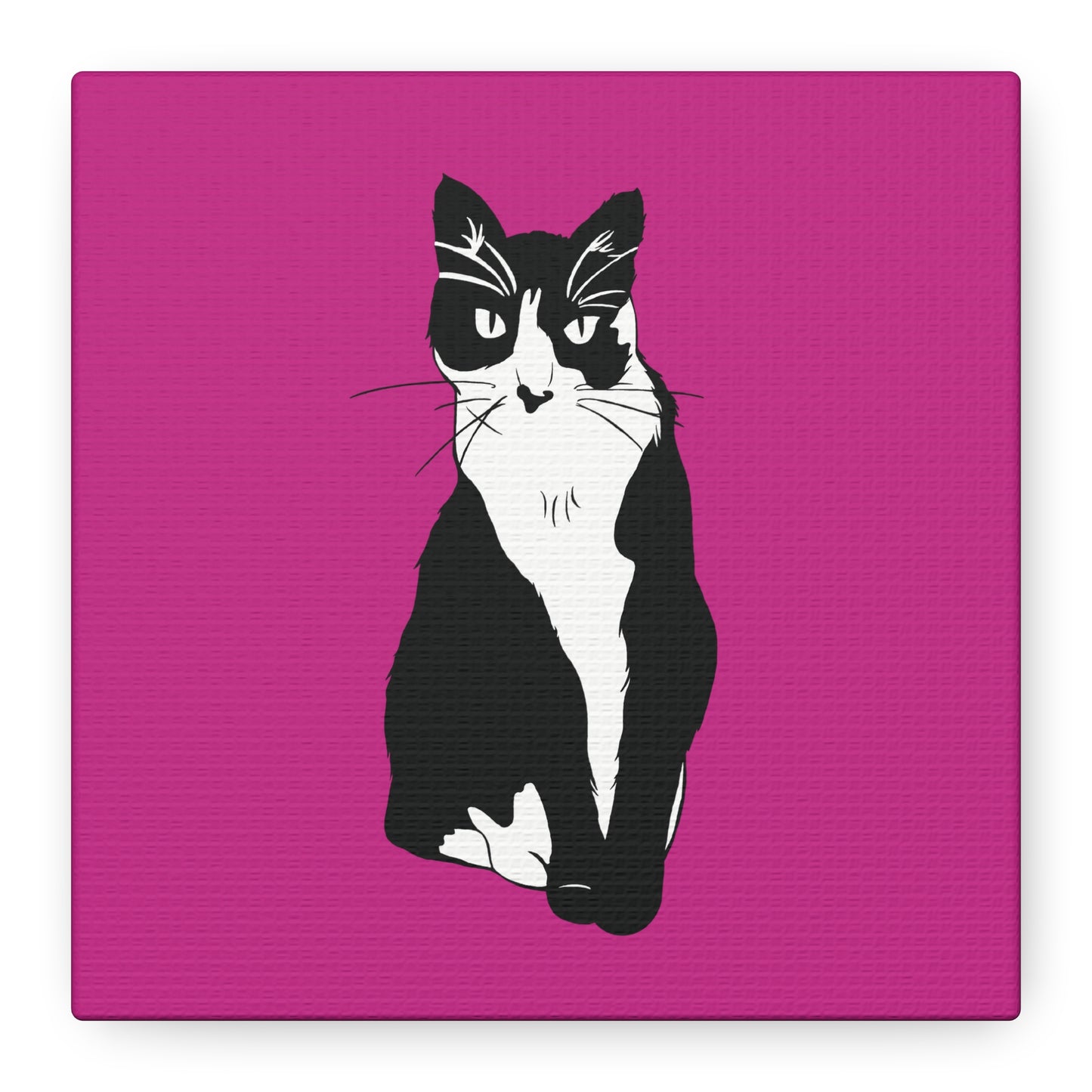 Cat Canvas on Pink (B&W Style Cat) - Cat Drawing Art
