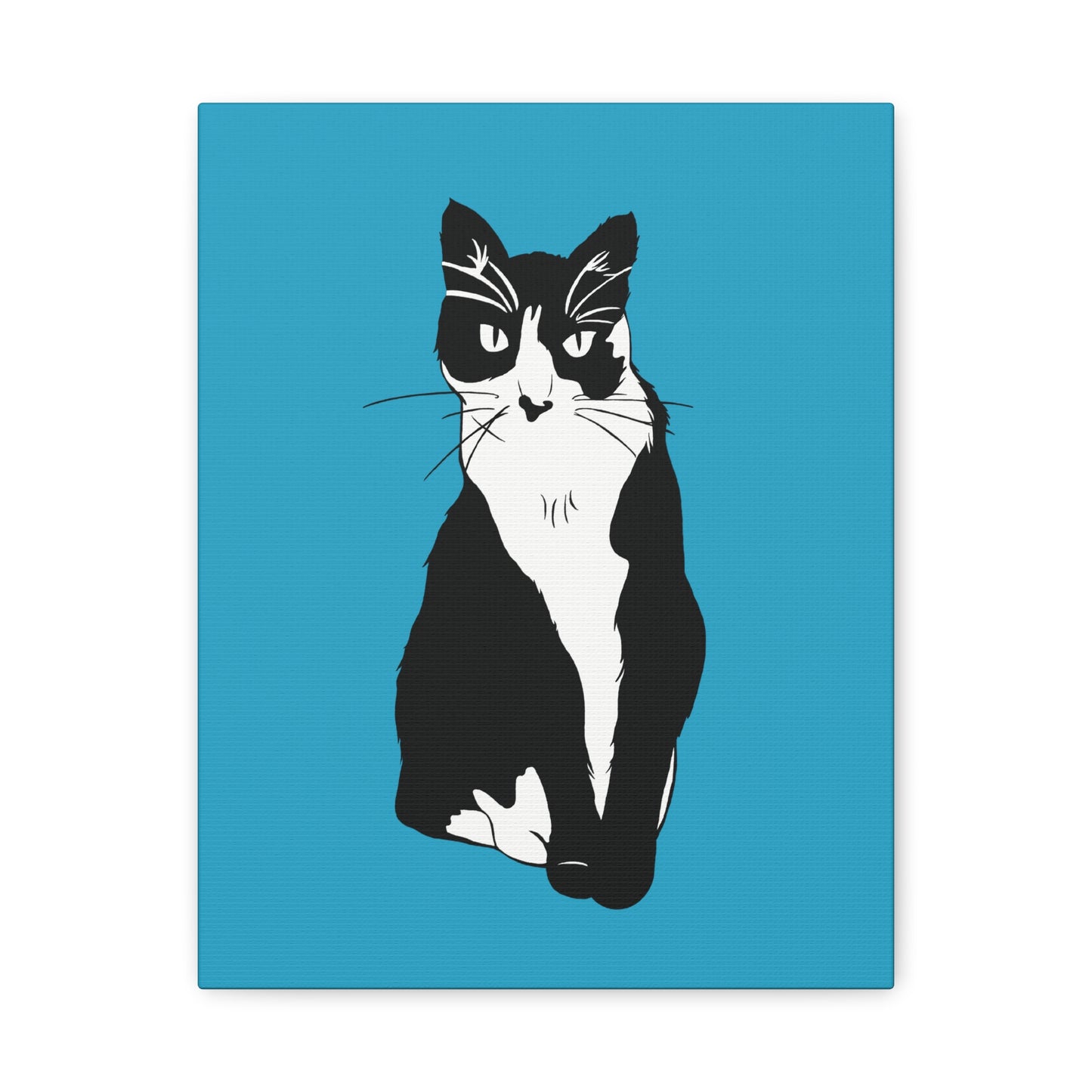 Cat Canvas on Turquoise (B&W Style Cat) - Cat Drawing Art
