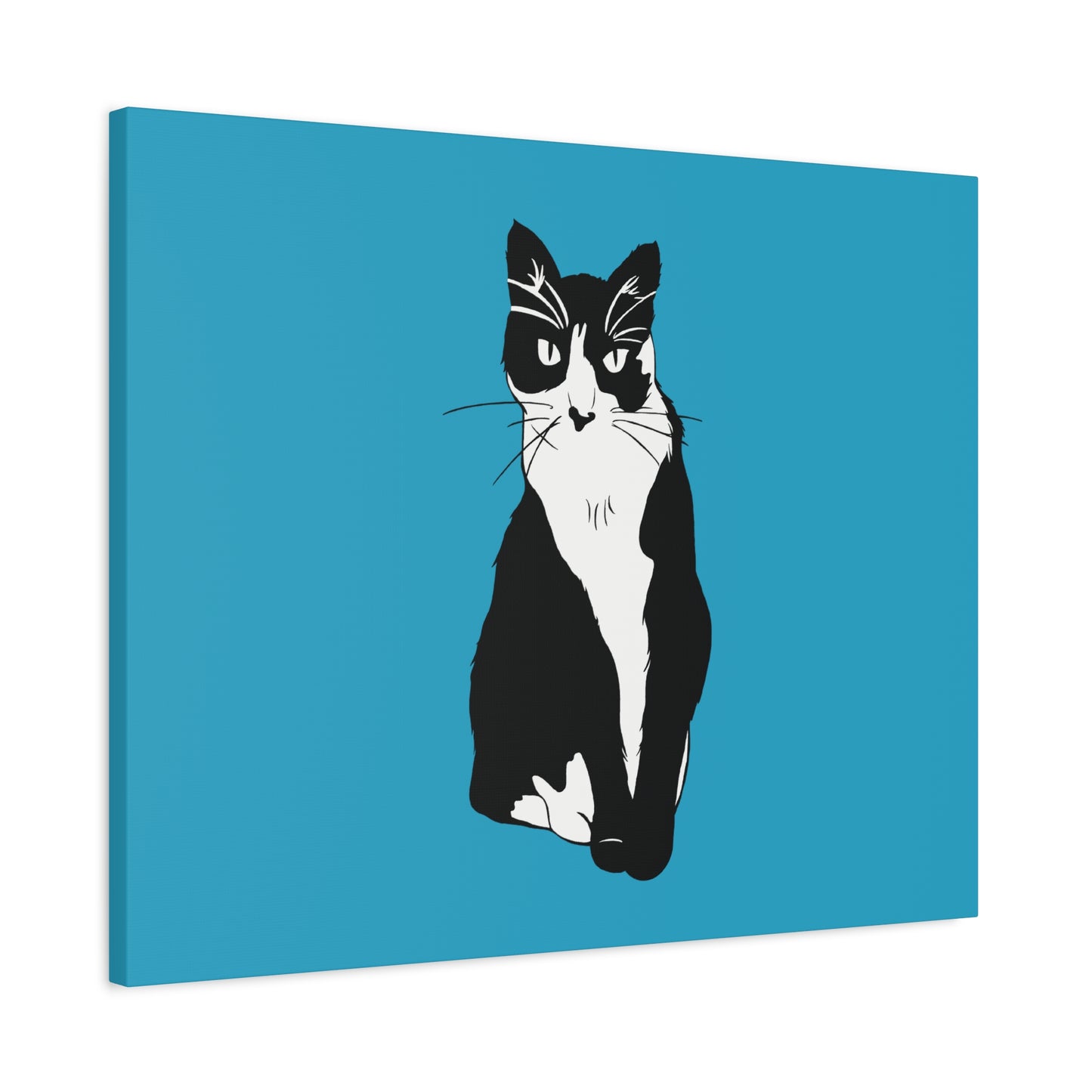 Cat Canvas on Turquoise (B&W Style Cat) - Cat Drawing Art