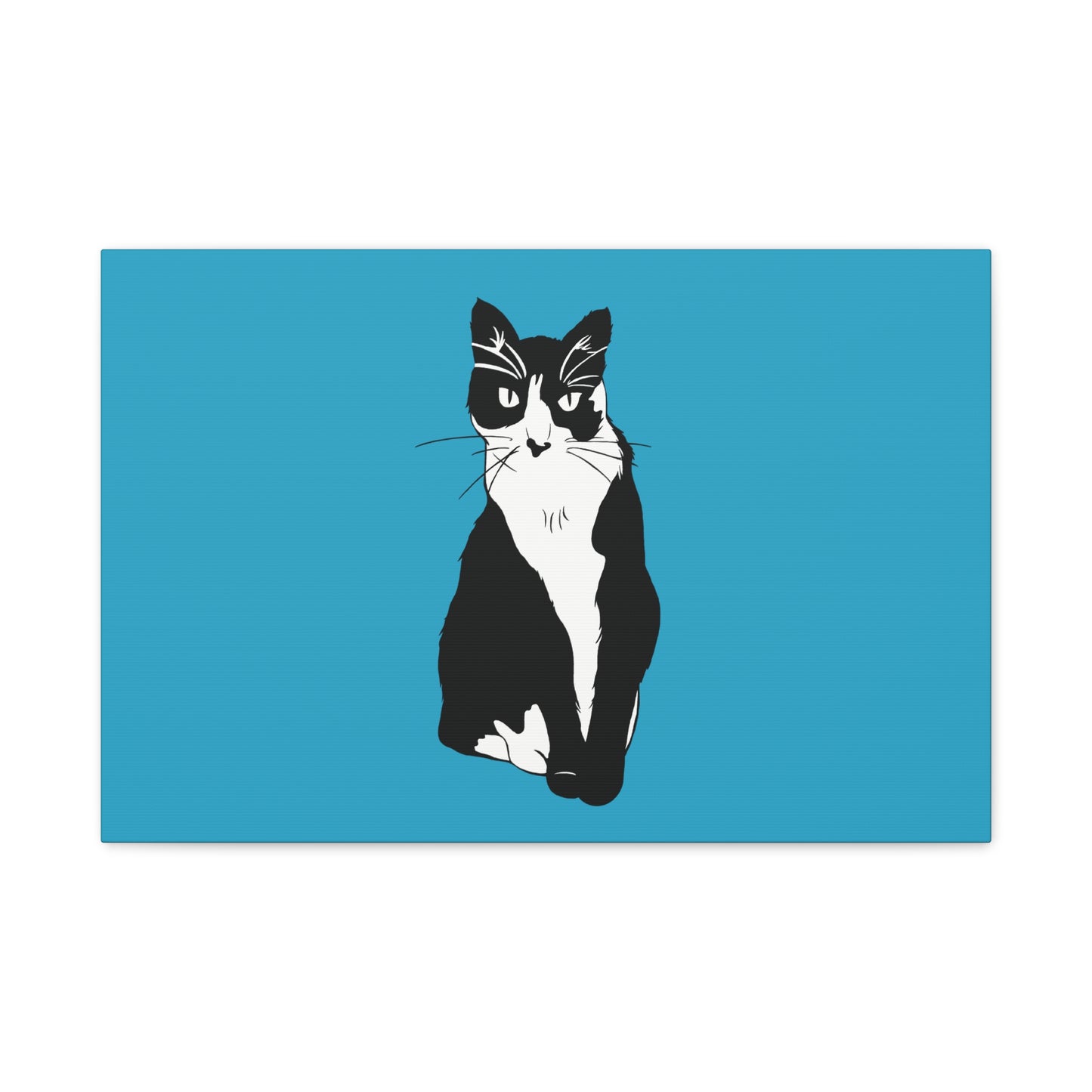 Cat Canvas on Turquoise (B&W Style Cat) - Cat Drawing Art