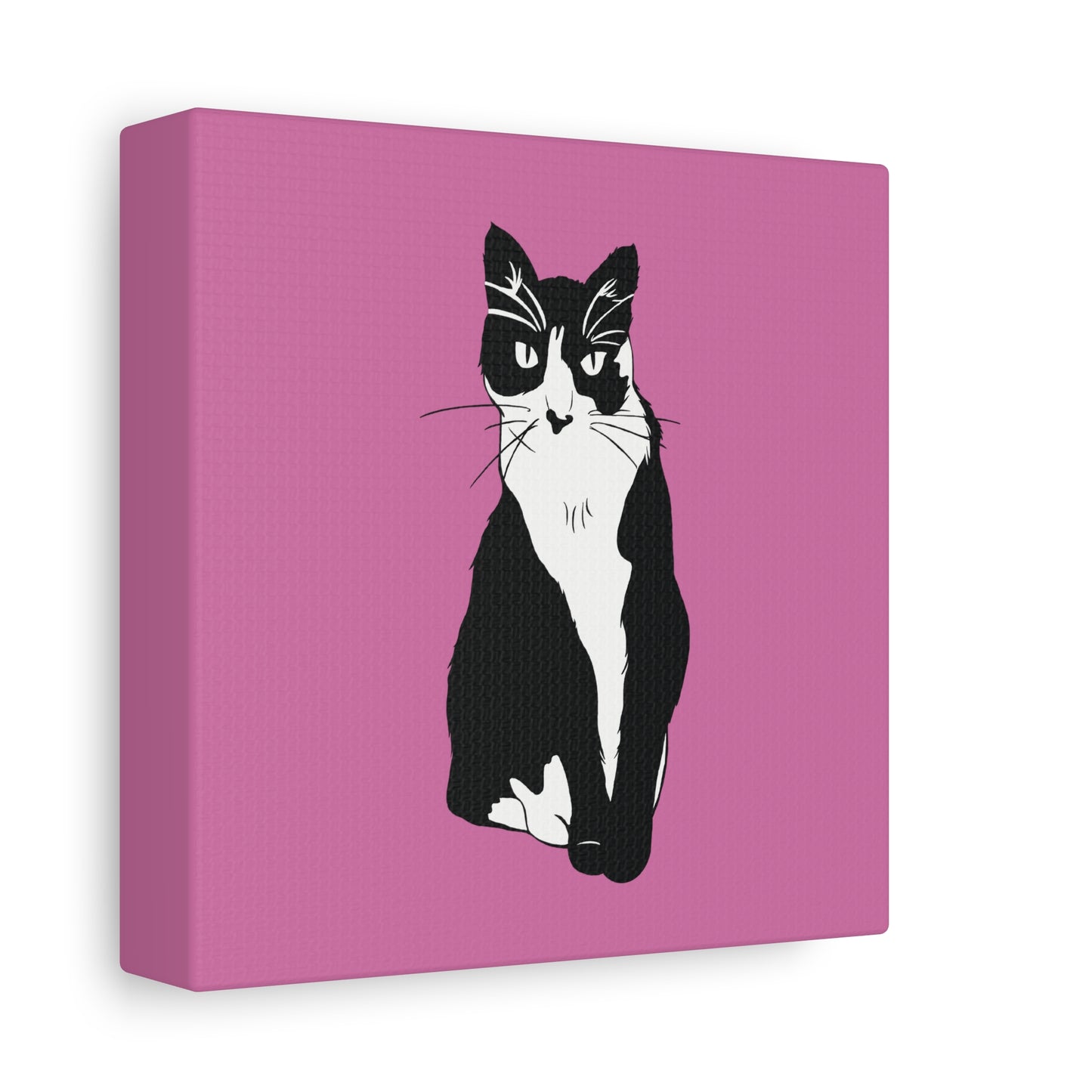 Cat Canvas on Light Pink (B&W Style Cat) - Cat Drawing Art