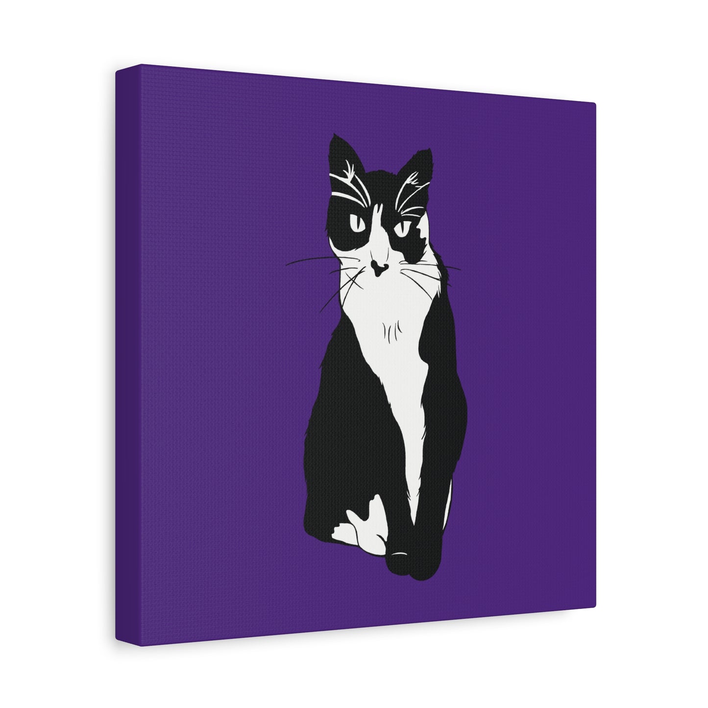 Cat Canvas on Purple (B&W Style Cat) - Cat Drawing Art