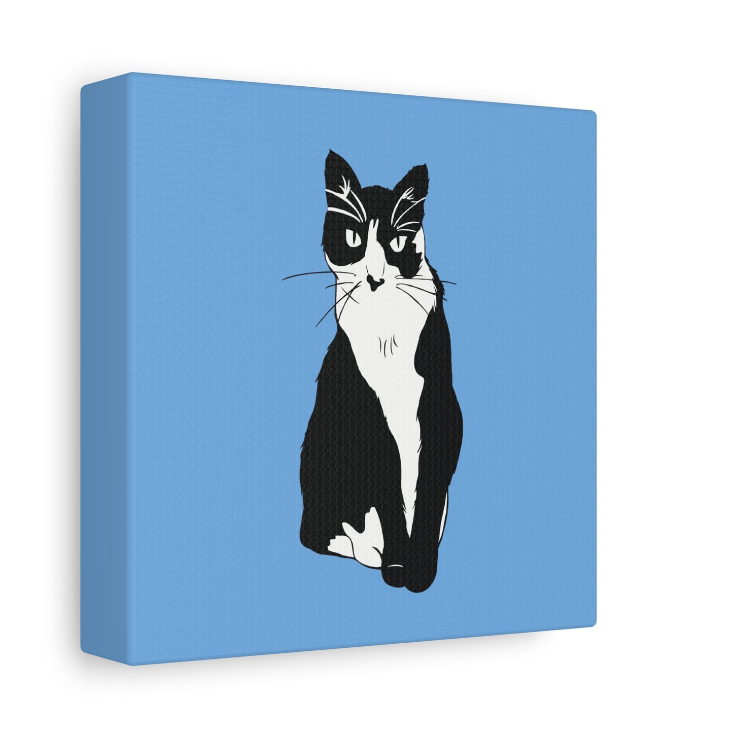 Cat Canvas on Light Blue (B&W Style Cat) - Cat Drawing Art