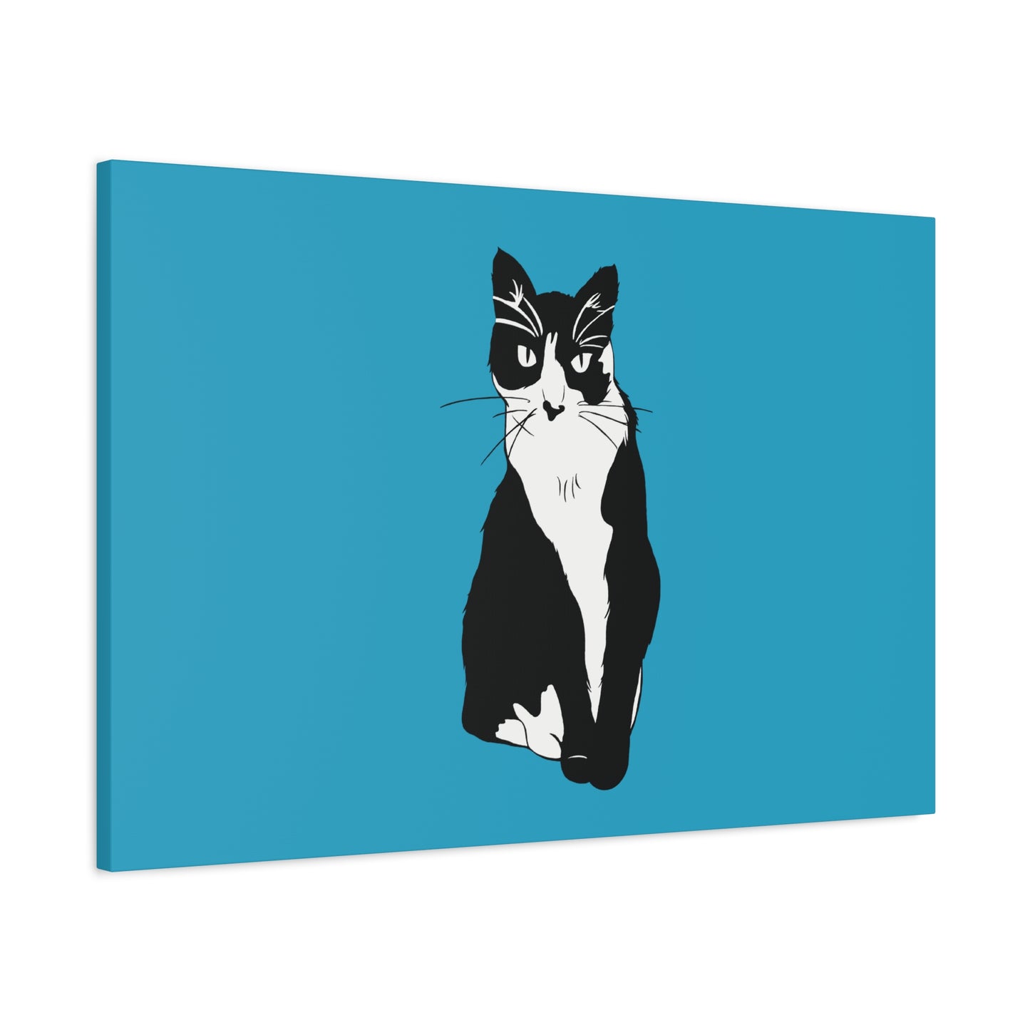 Cat Canvas on Turquoise (B&W Style Cat) - Cat Drawing Art