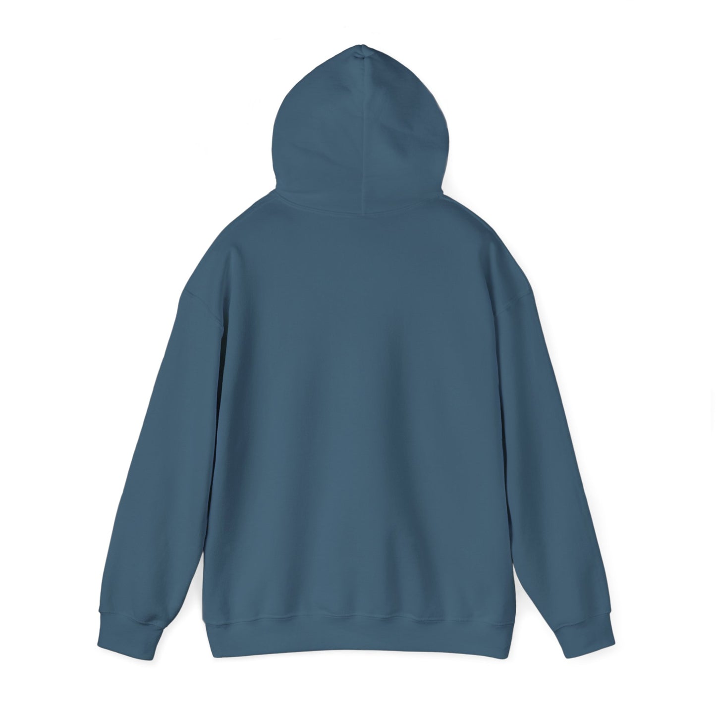 I Won't Stand For It Seagull Hoodie Sweatshirt