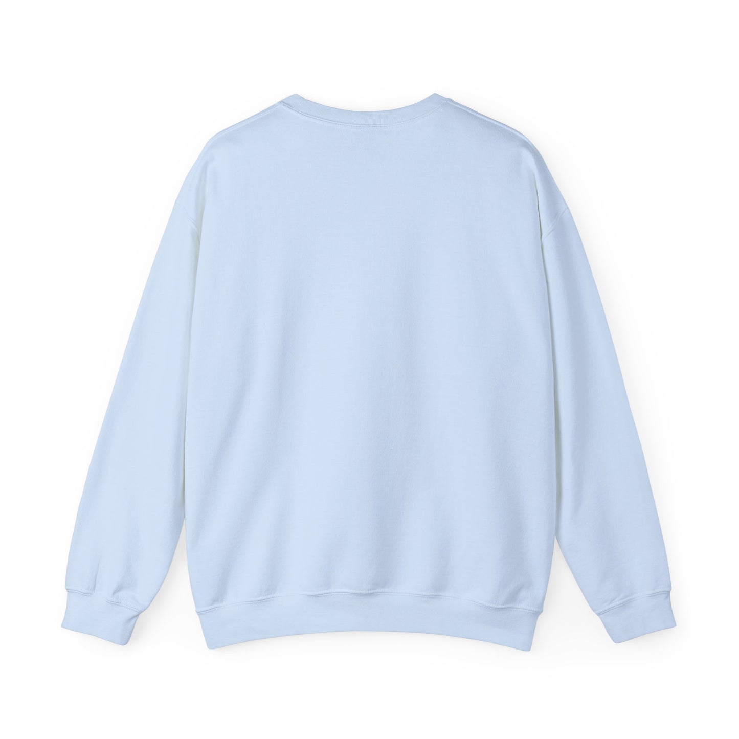 I Won't Stand For It Seagull Sweatshirt