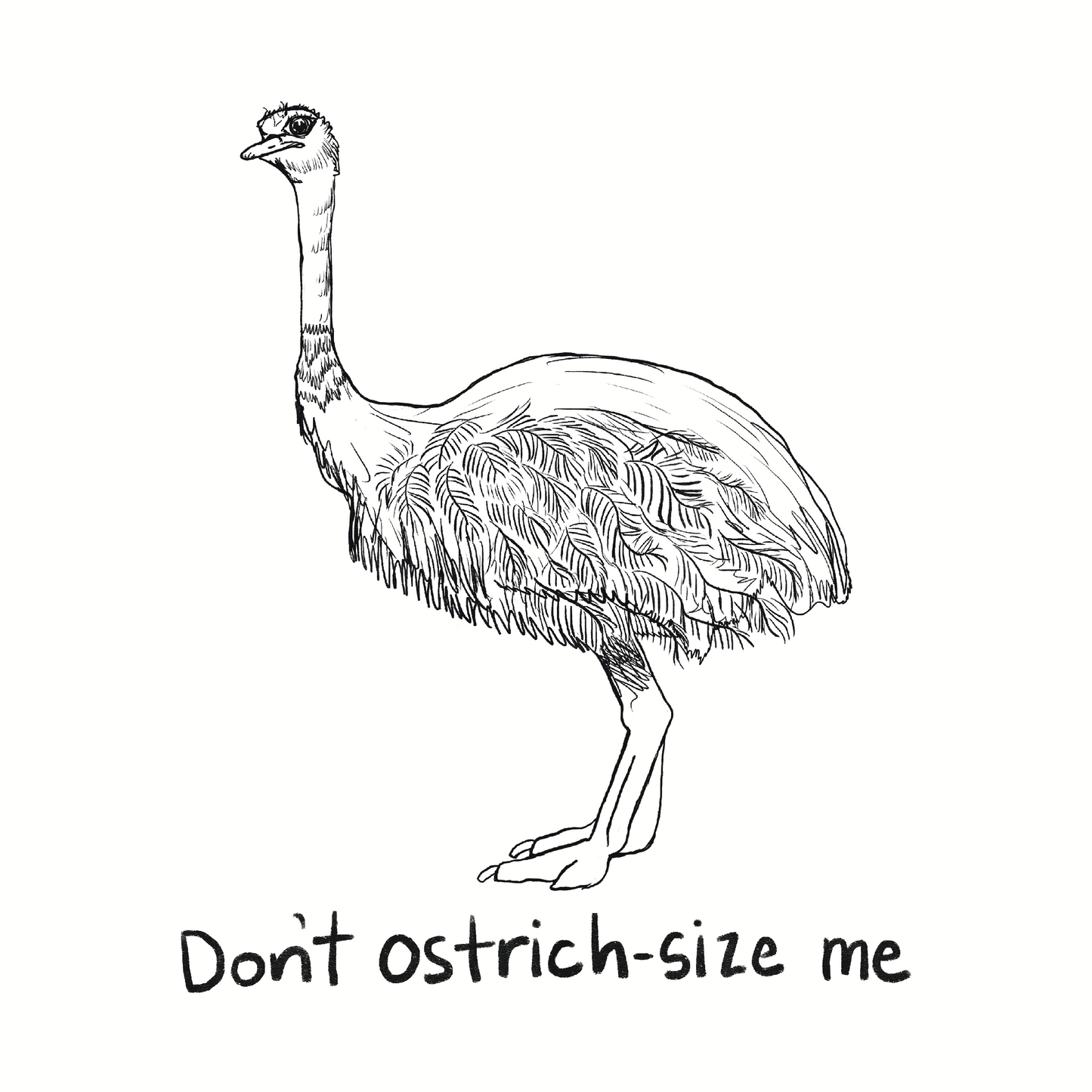 Ostrich-sized Drawing Hoodie Sweatshirt