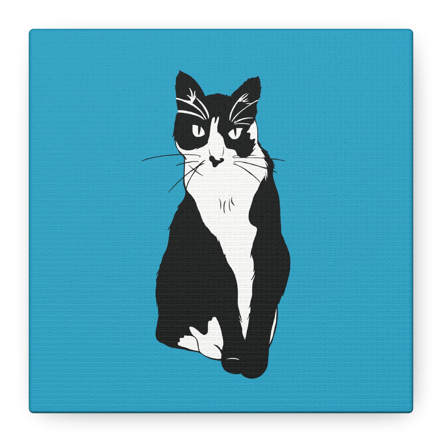Cat Canvas on Turquoise (B&W Style Cat) - Cat Drawing Art