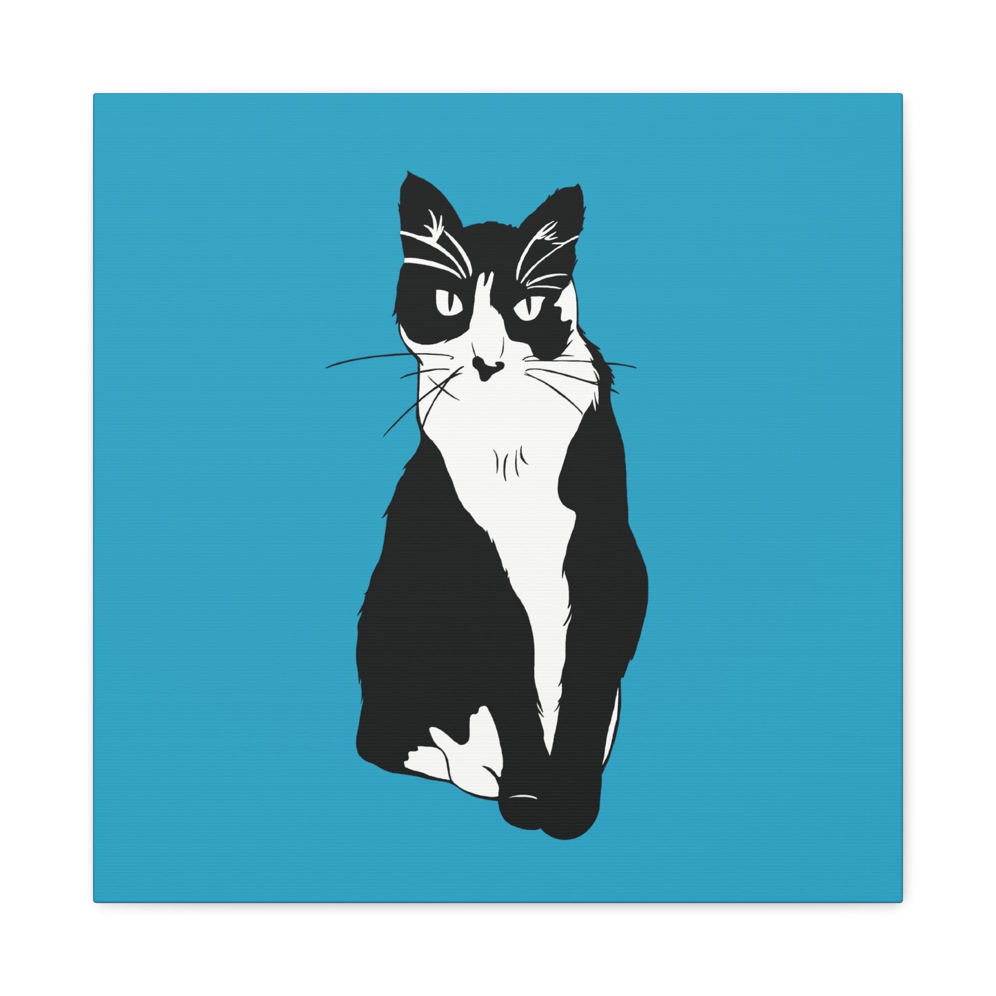 Cat Canvas on Turquoise (B&W Style Cat) - Cat Drawing Art