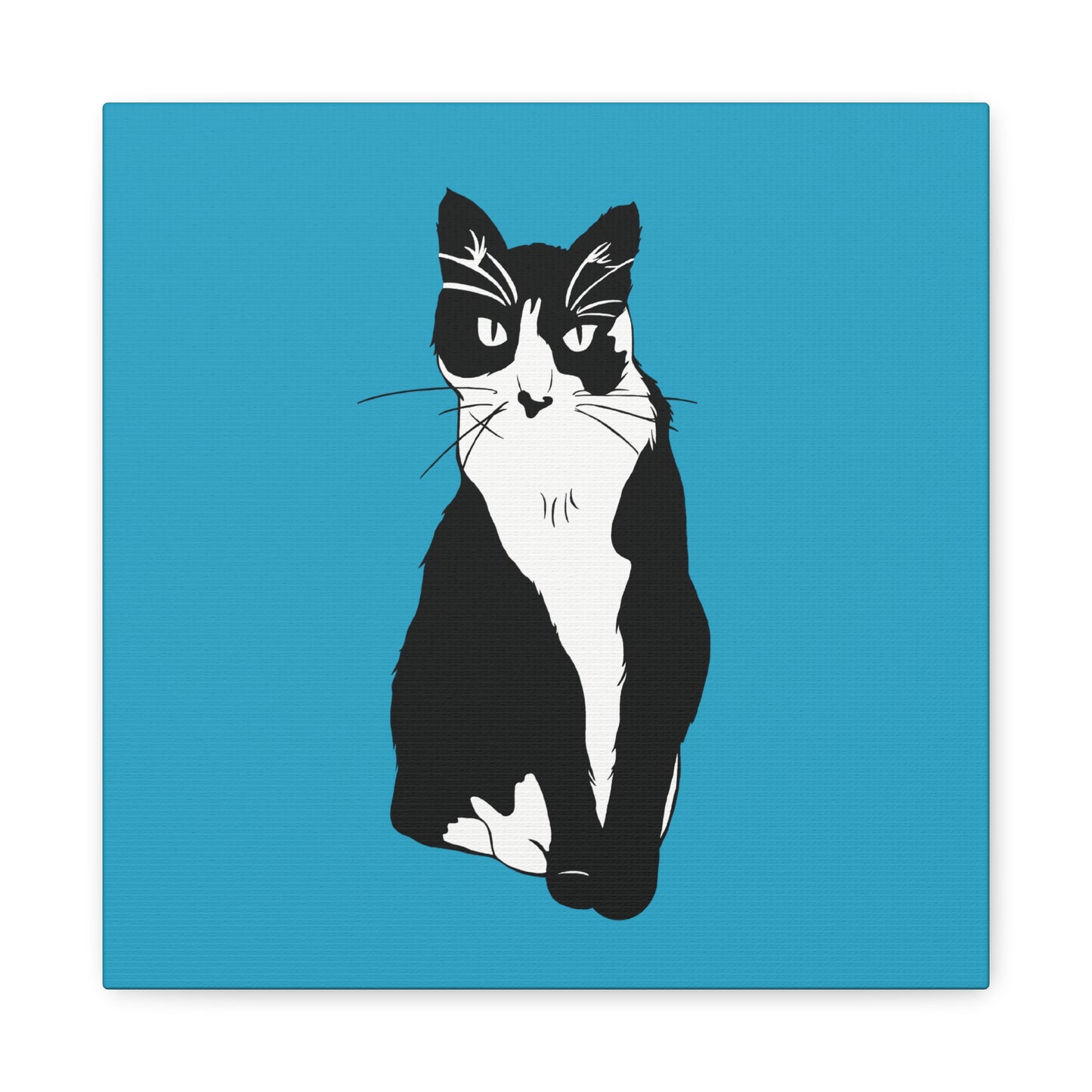 Cat Canvas on Turquoise (B&W Style Cat) - Cat Drawing Art