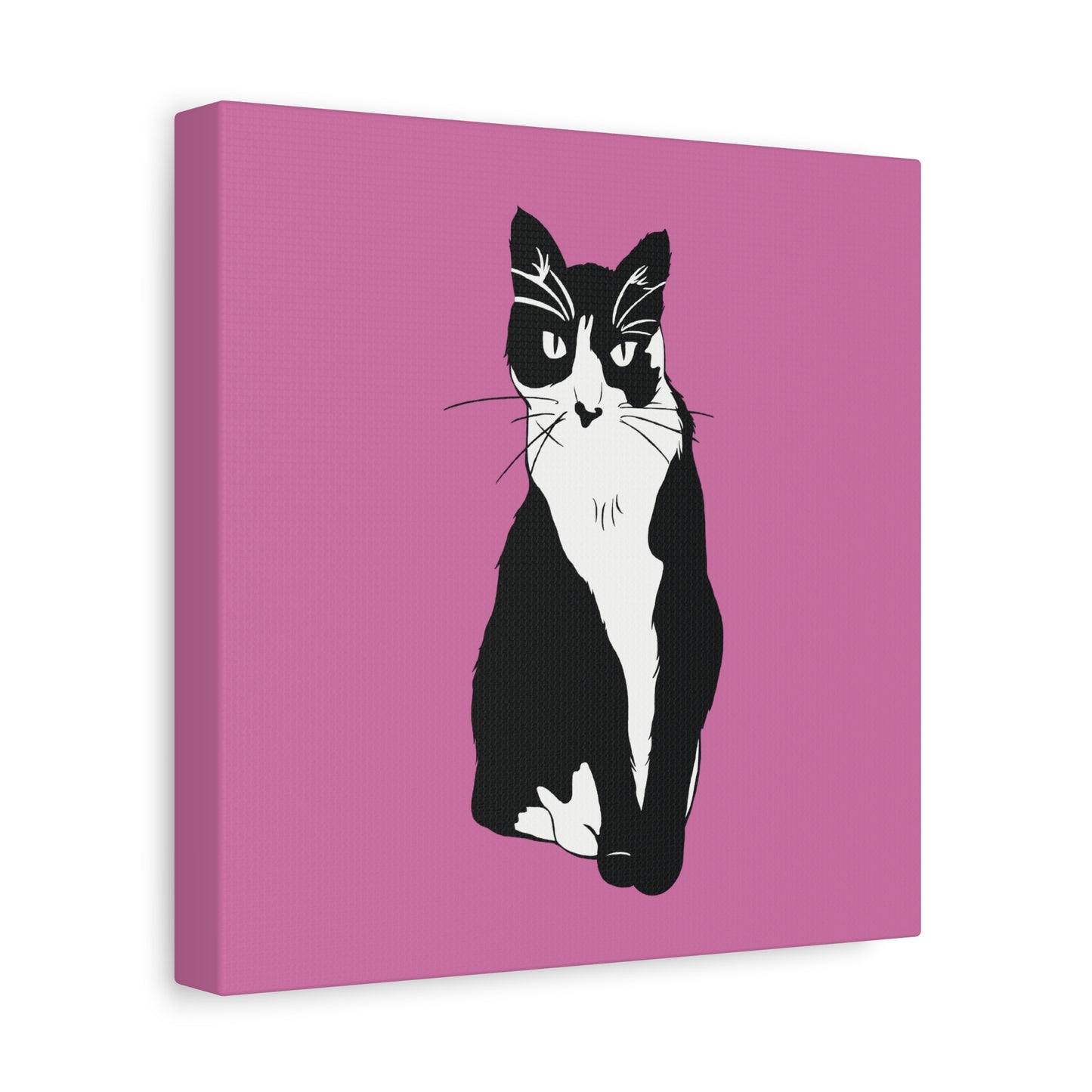 Cat Canvas on Light Pink (B&W Style Cat) - Cat Drawing Art