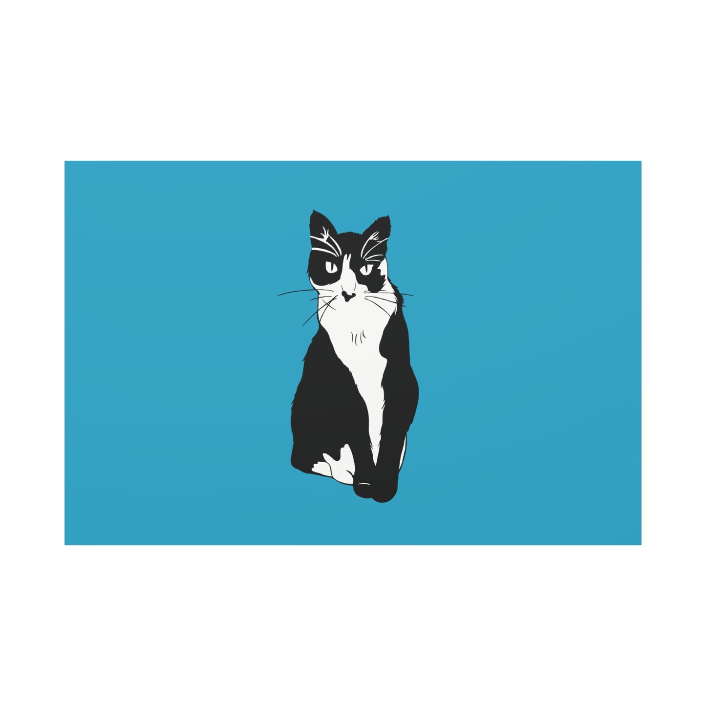 Cat Canvas on Turquoise (B&W Style Cat) - Cat Drawing Art