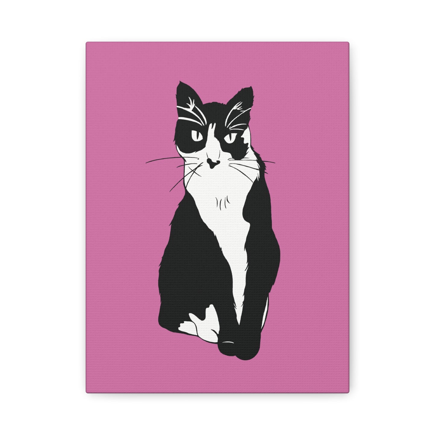 Cat Canvas on Light Pink (B&W Style Cat) - Cat Drawing Art