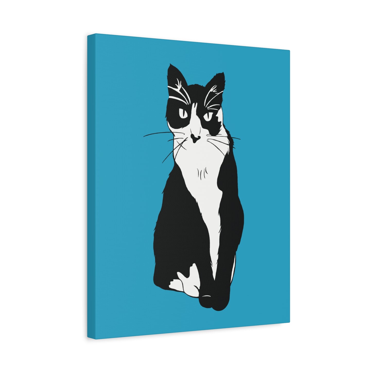 Cat Canvas on Turquoise (B&W Style Cat) - Cat Drawing Art