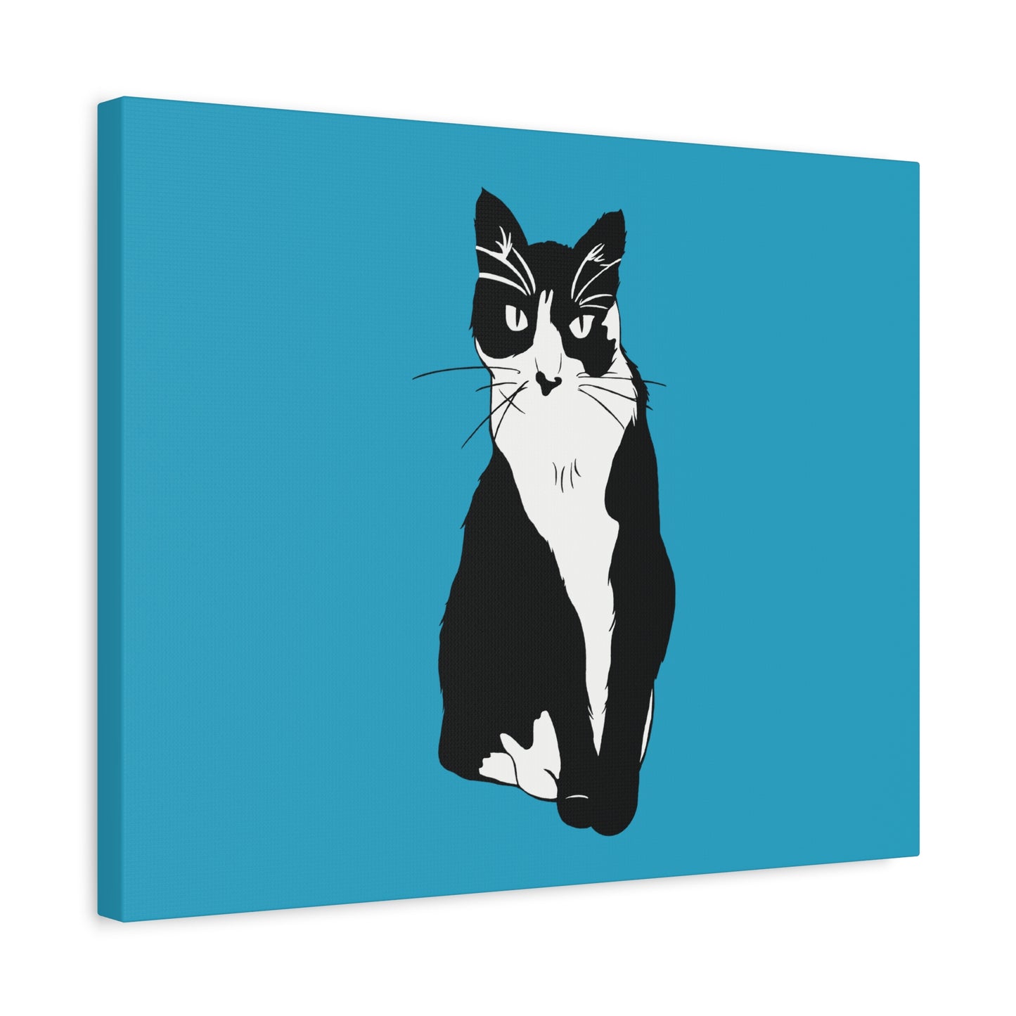 Cat Canvas on Turquoise (B&W Style Cat) - Cat Drawing Art