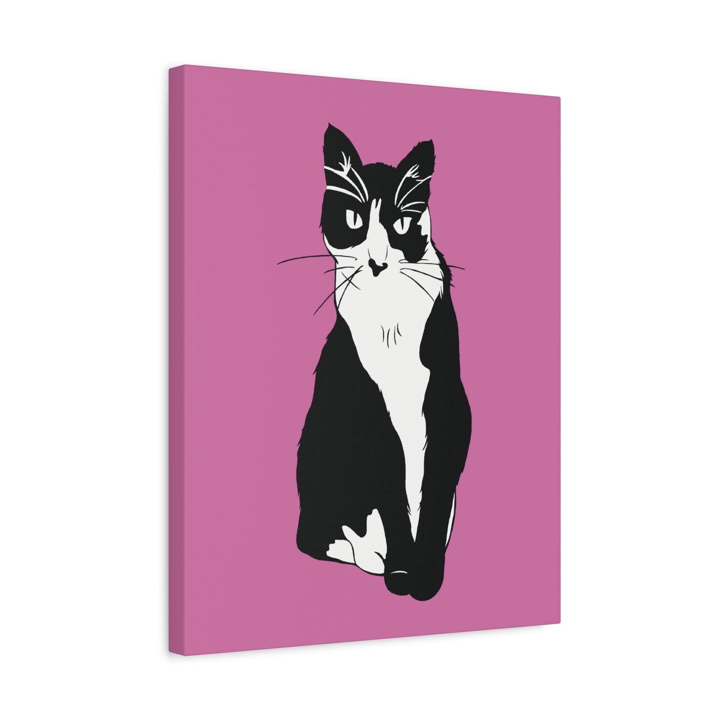 Cat Canvas on Light Pink (B&W Style Cat) - Cat Drawing Art