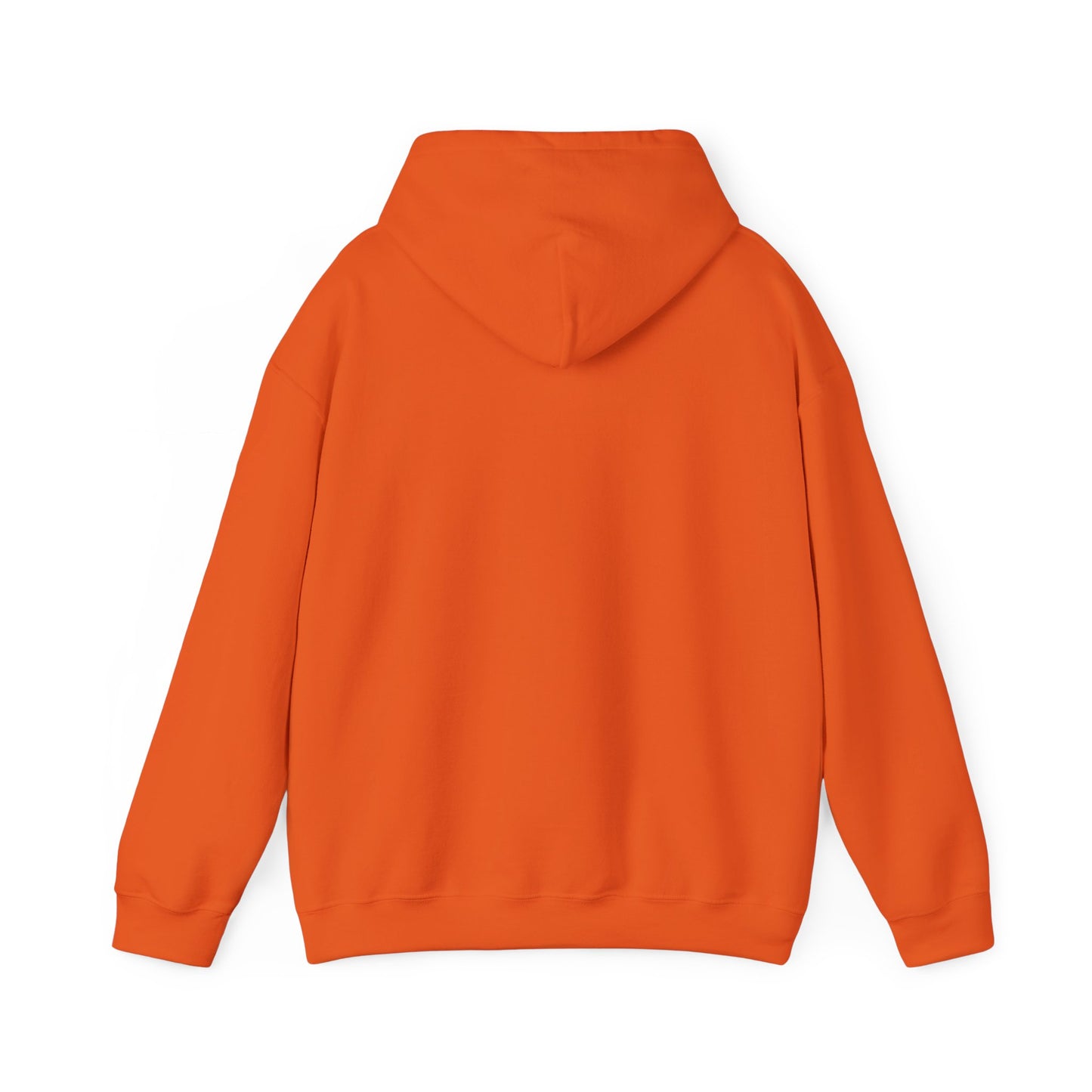 Cat x3 Hoodie (Transparent Style Cat) - Cat Hooded Sweatshirt