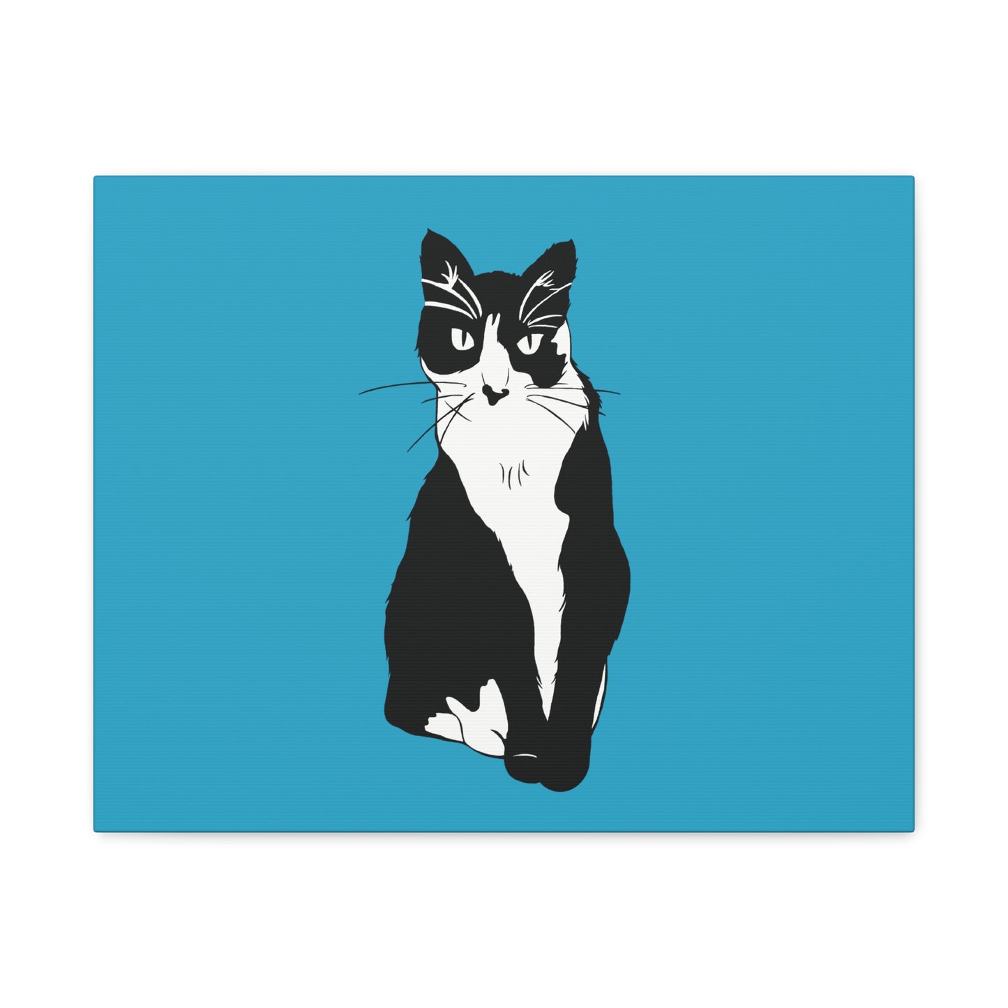 Cat Canvas on Turquoise (B&W Style Cat) - Cat Drawing Art